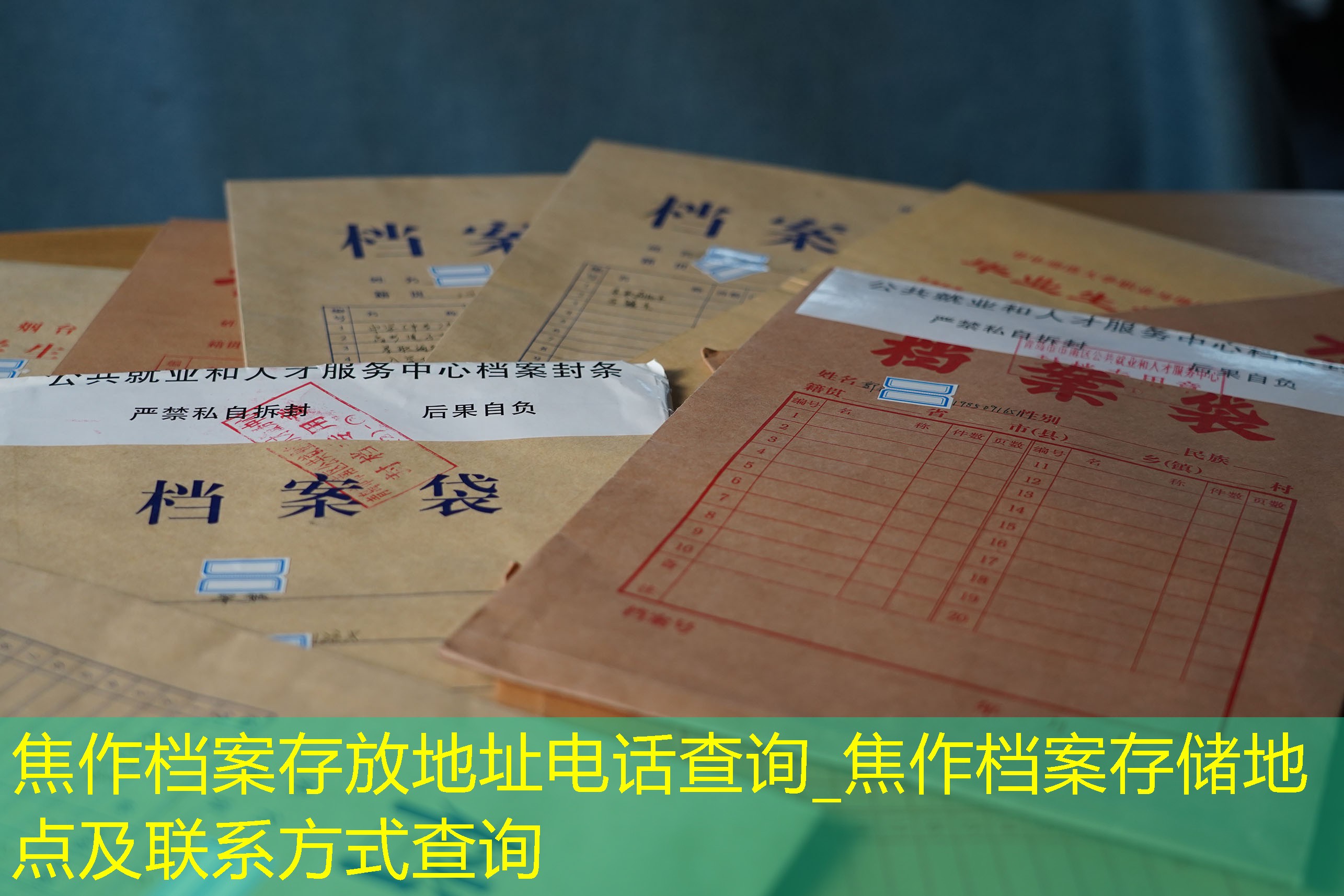 档案查询