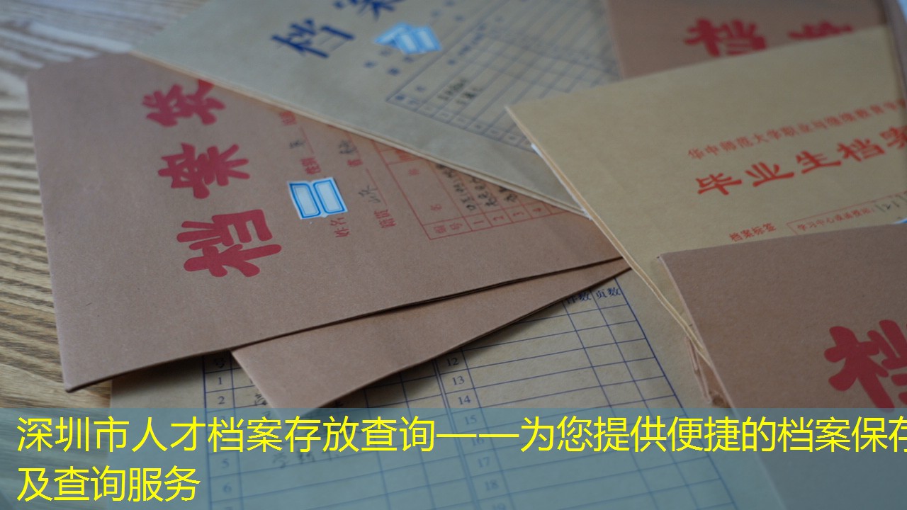 档案查询