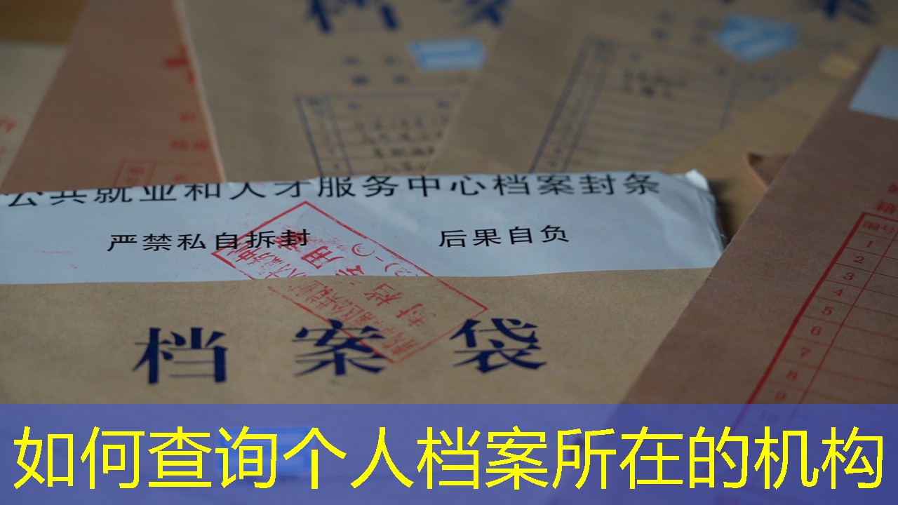 档案查询