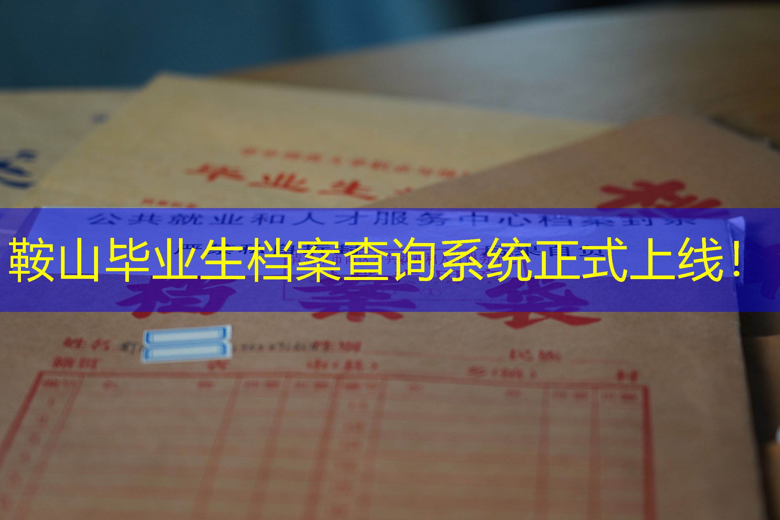 档案查询