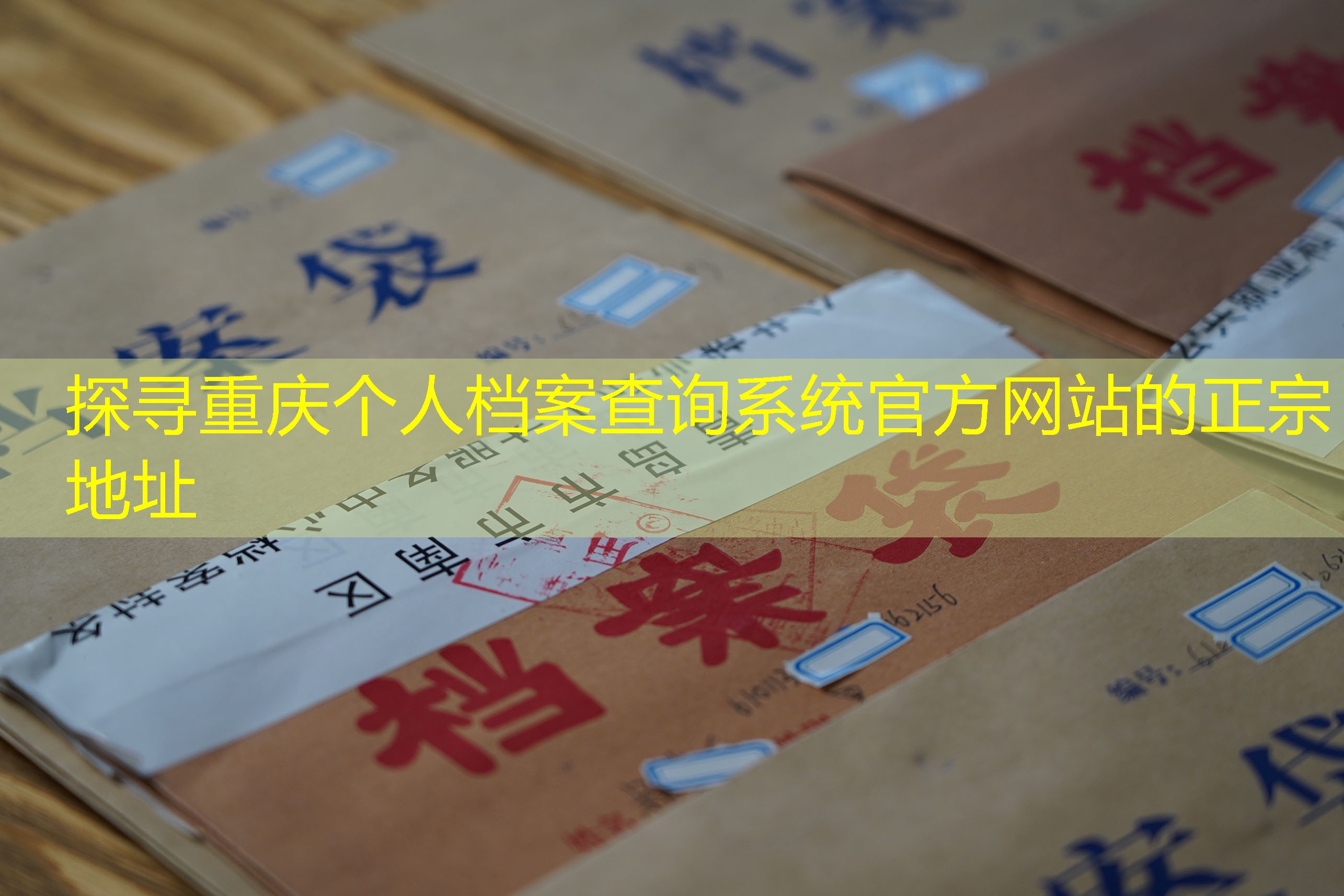 档案查询