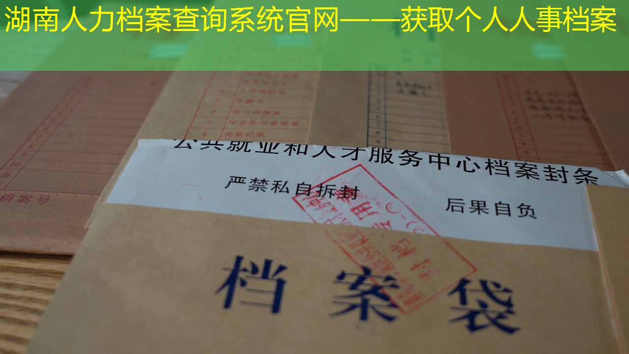 档案查询
