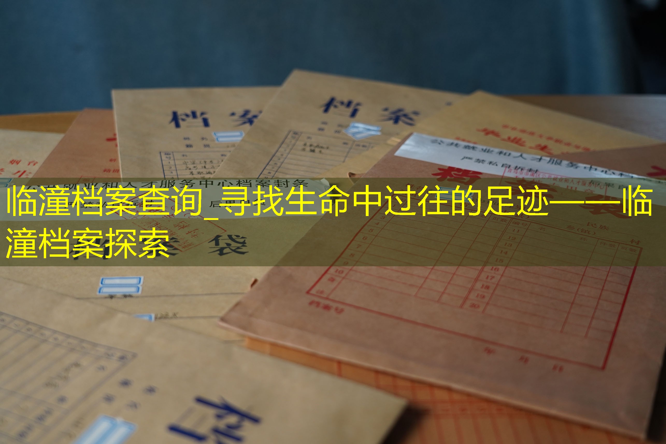 档案查询