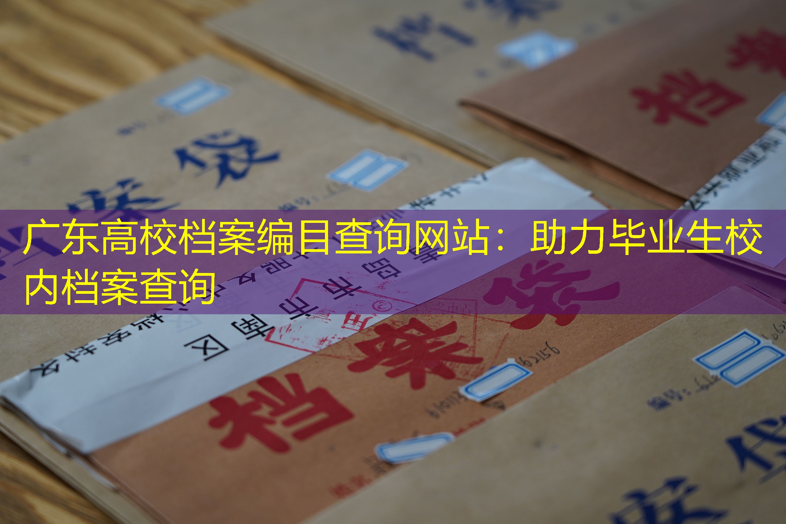 档案查询