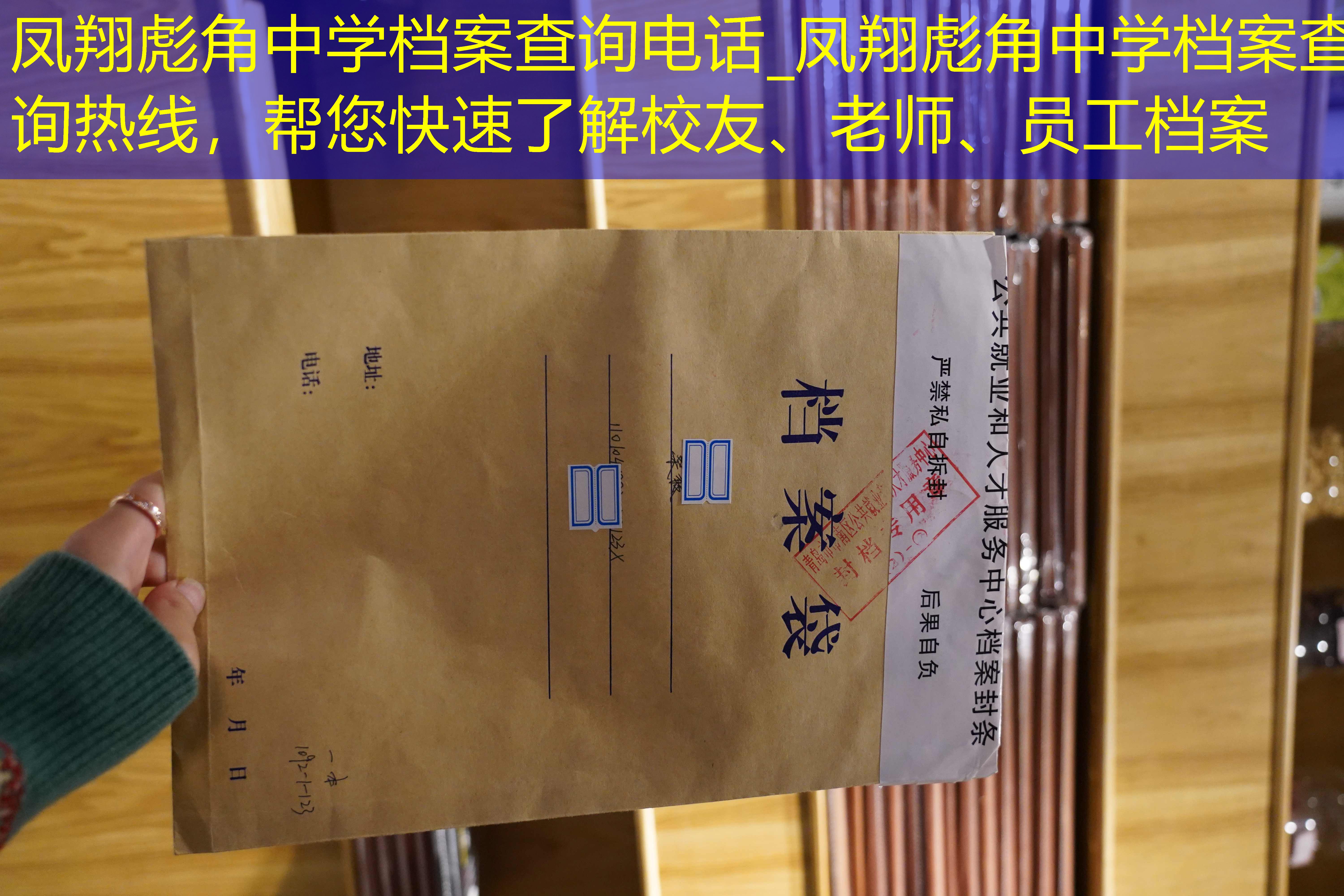 档案查询