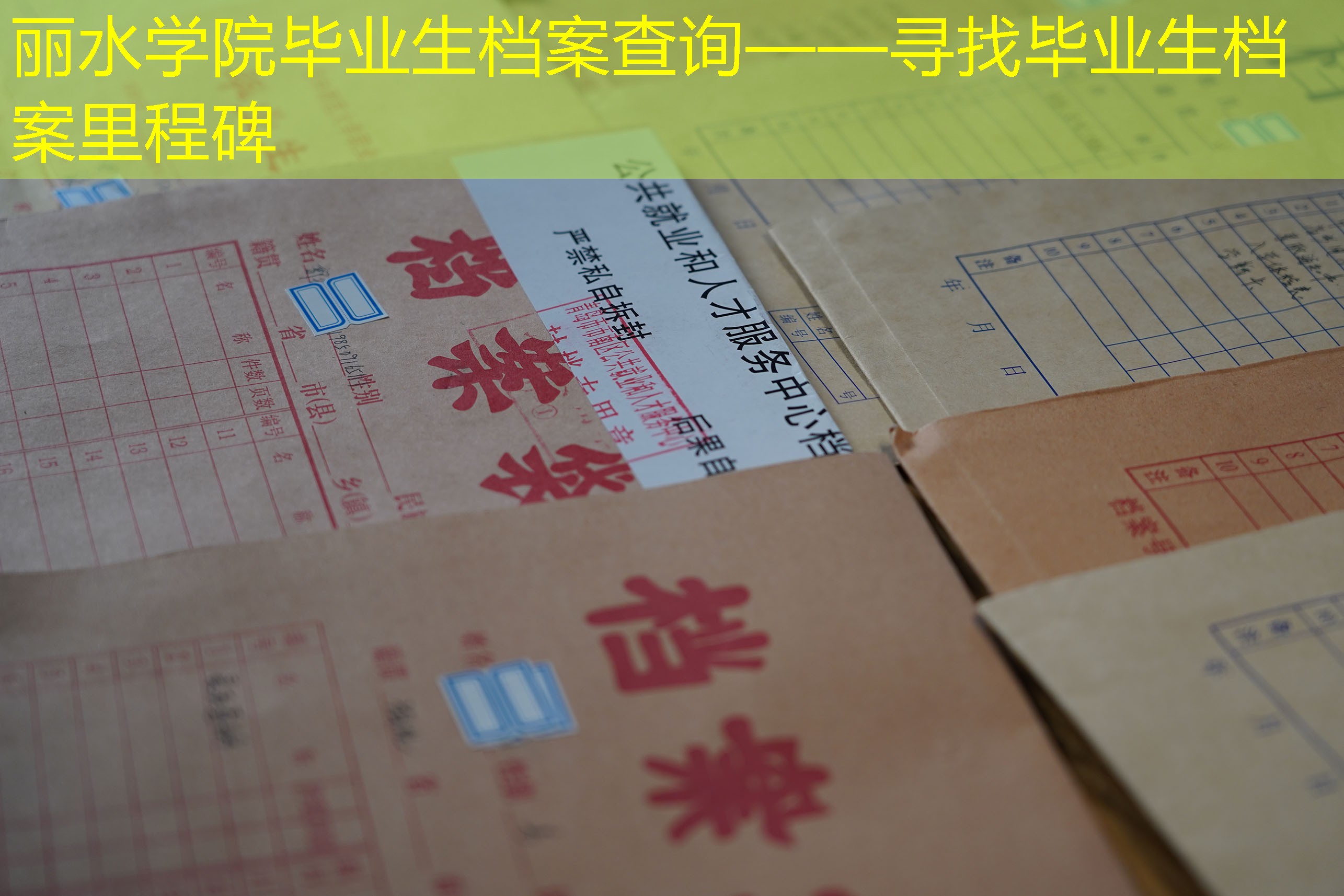 档案查询