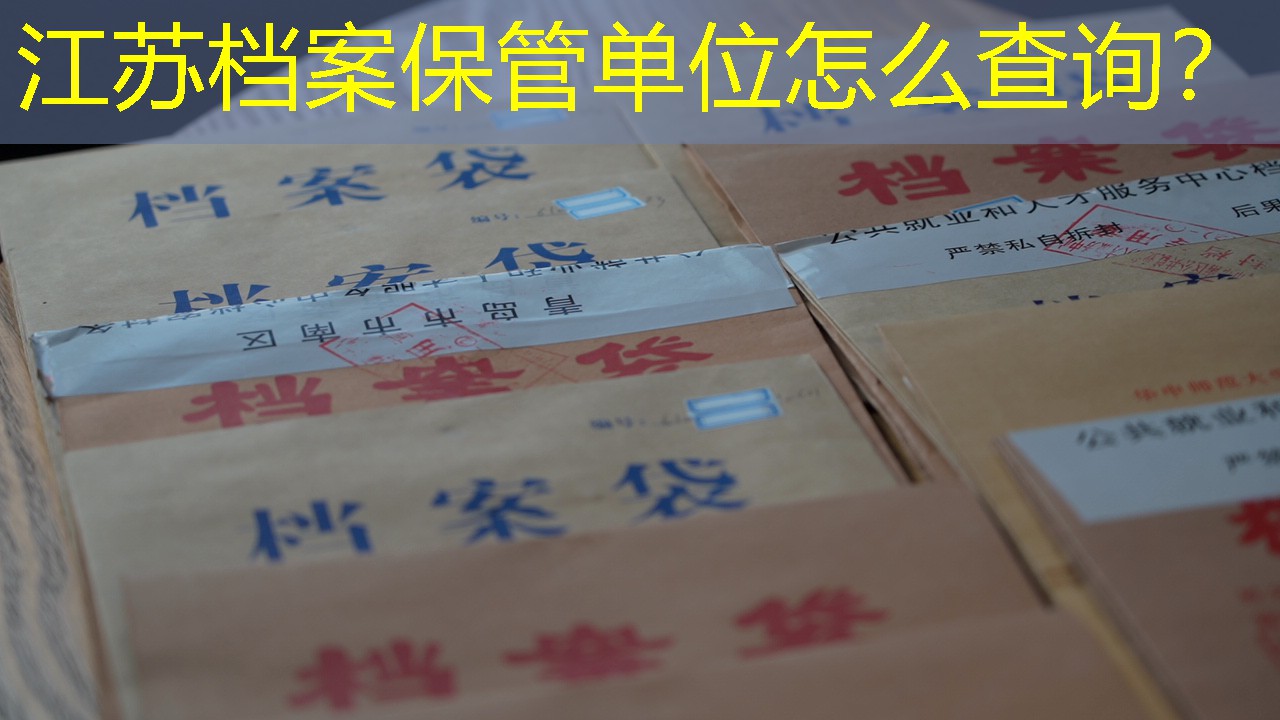 档案查询