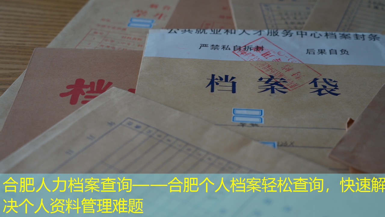 档案查询