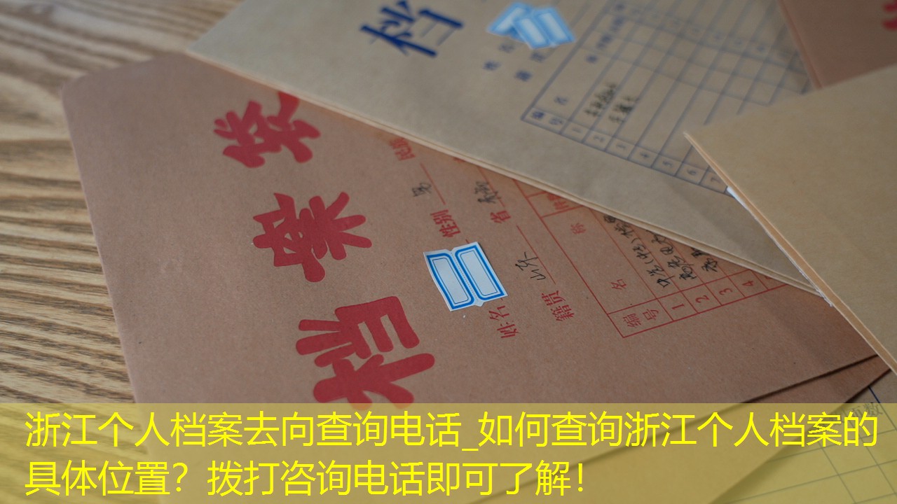 档案查询