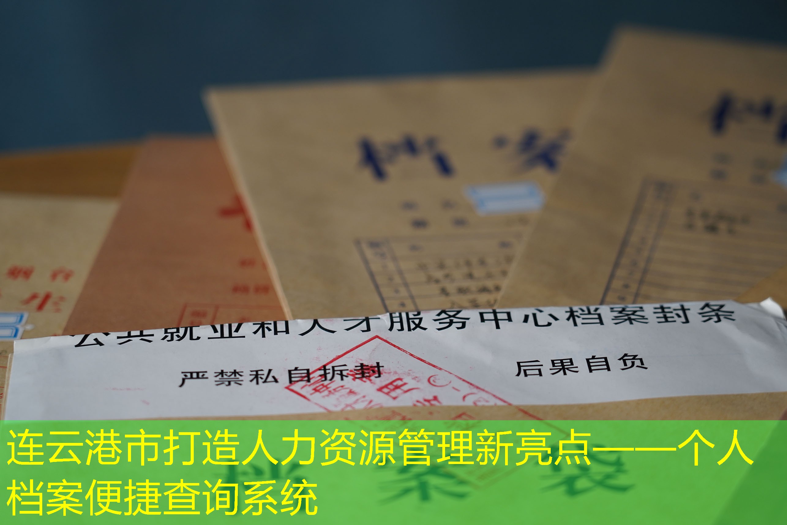 档案查询