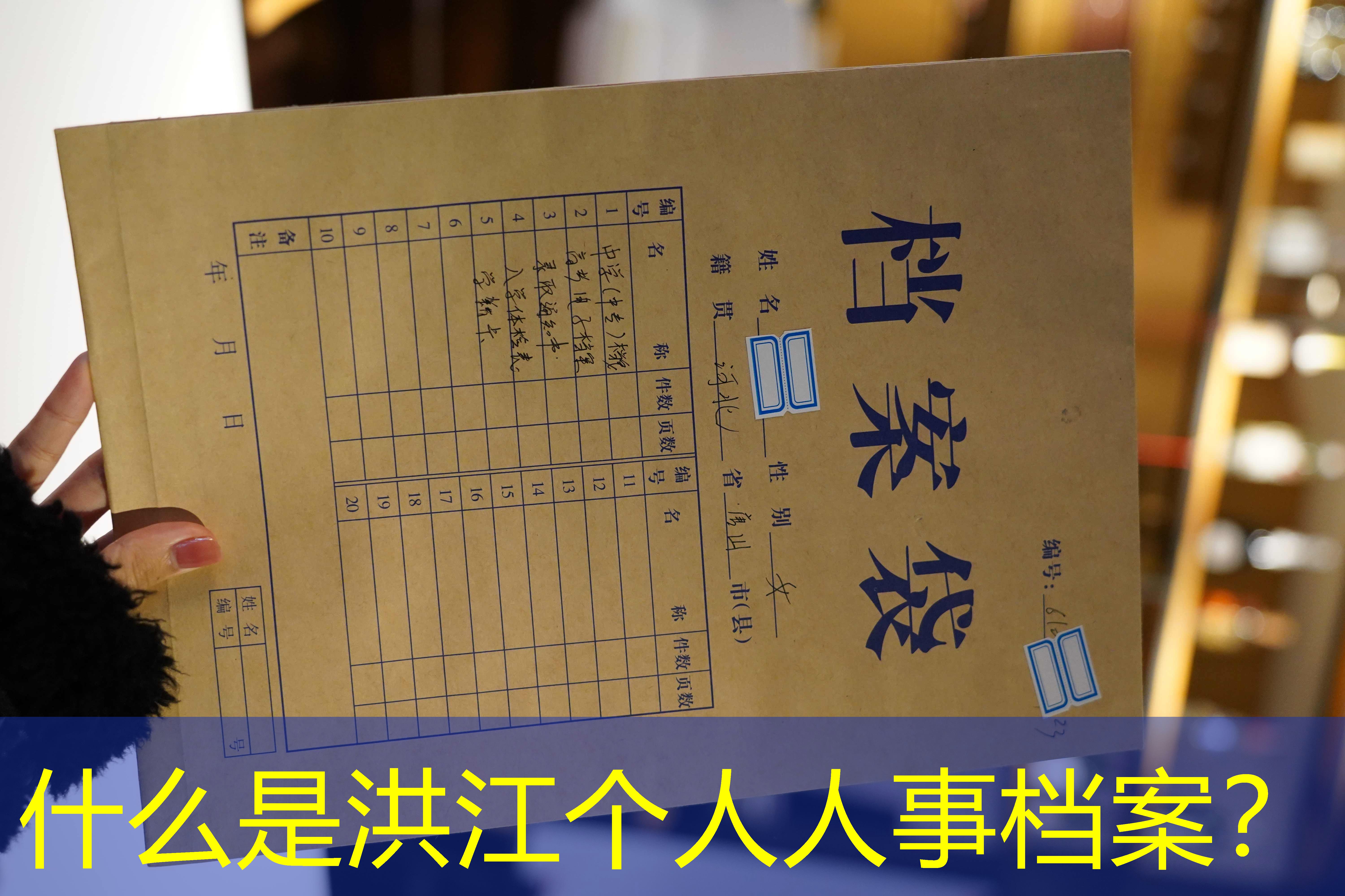 档案查询
