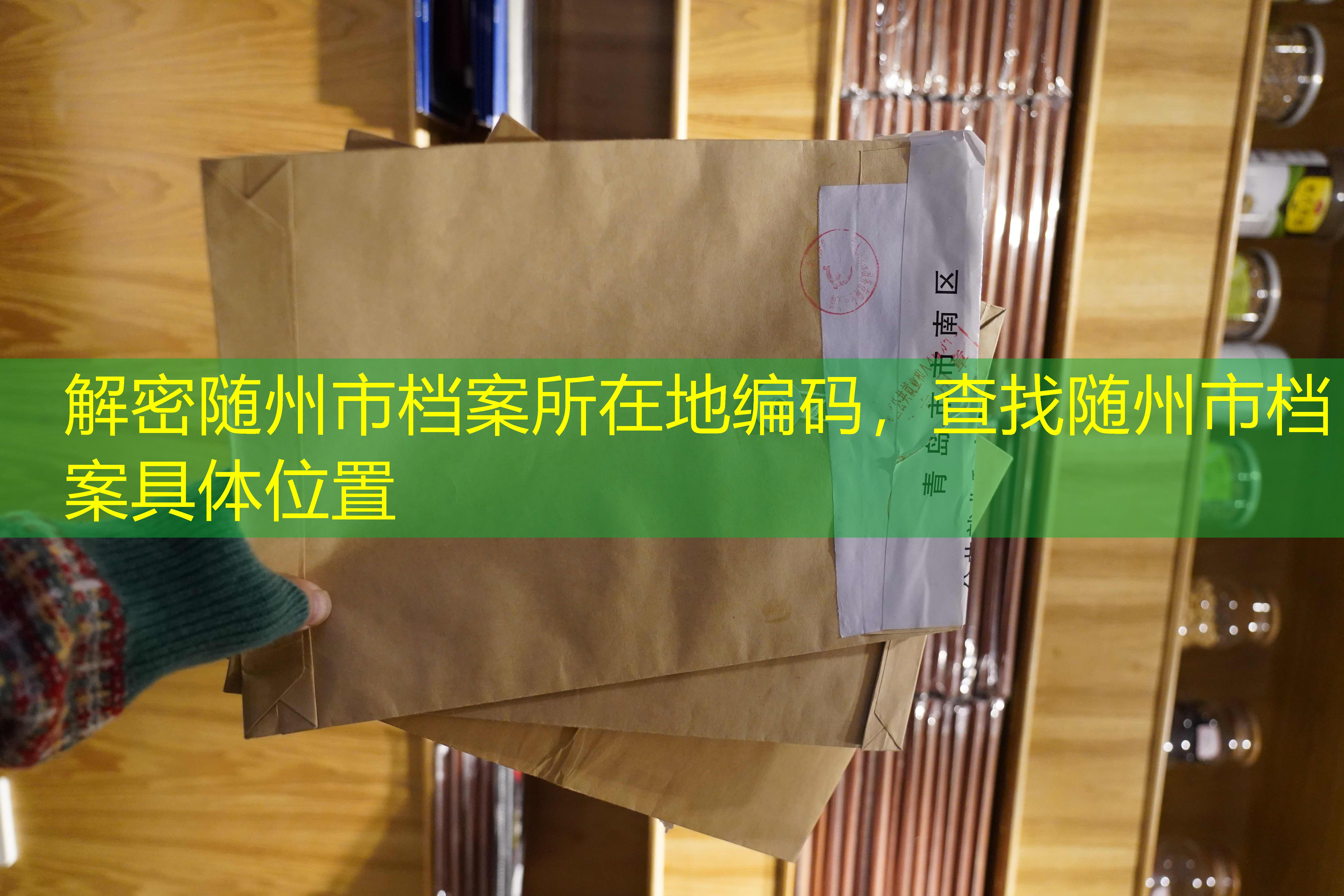 档案查询
