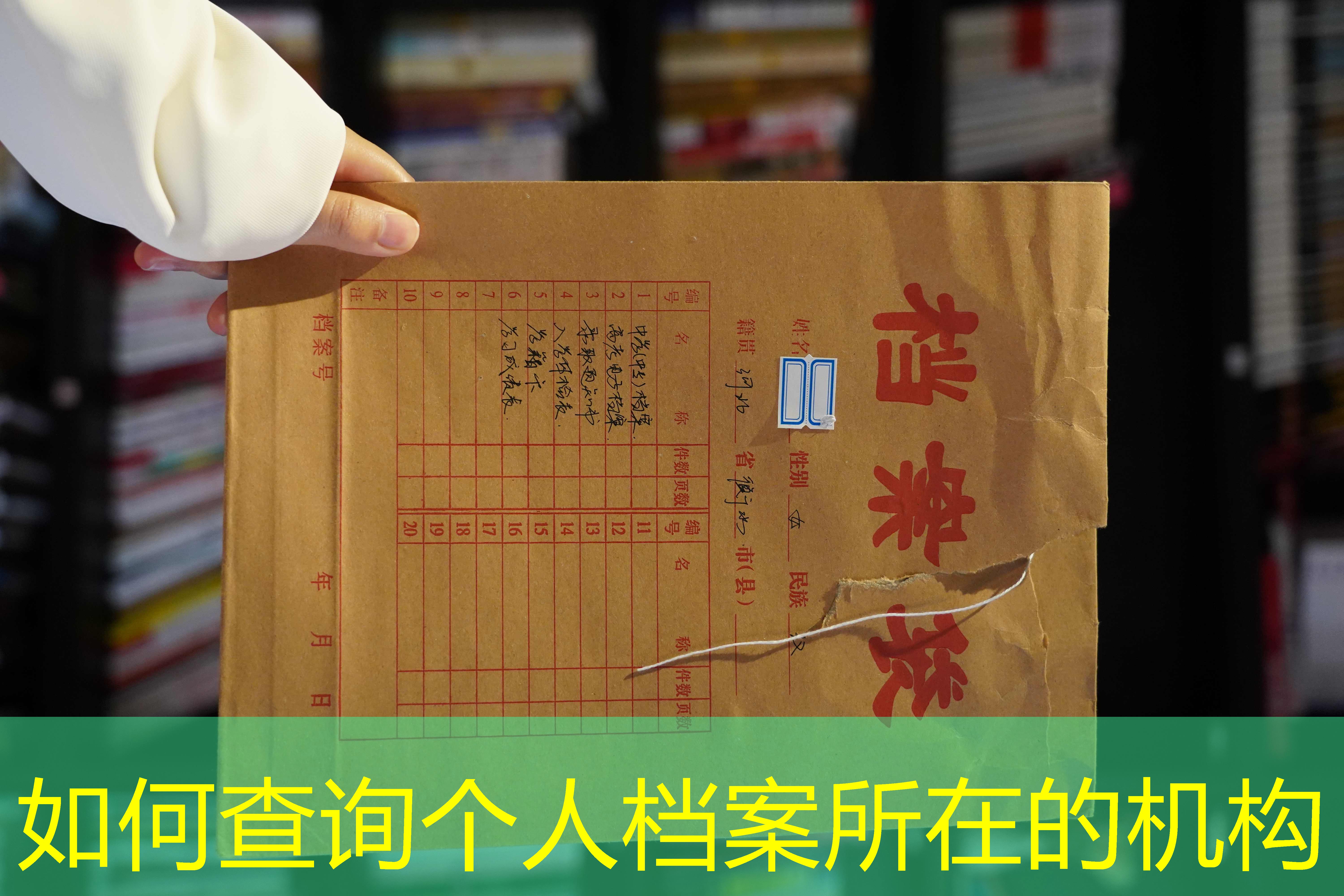 档案查询