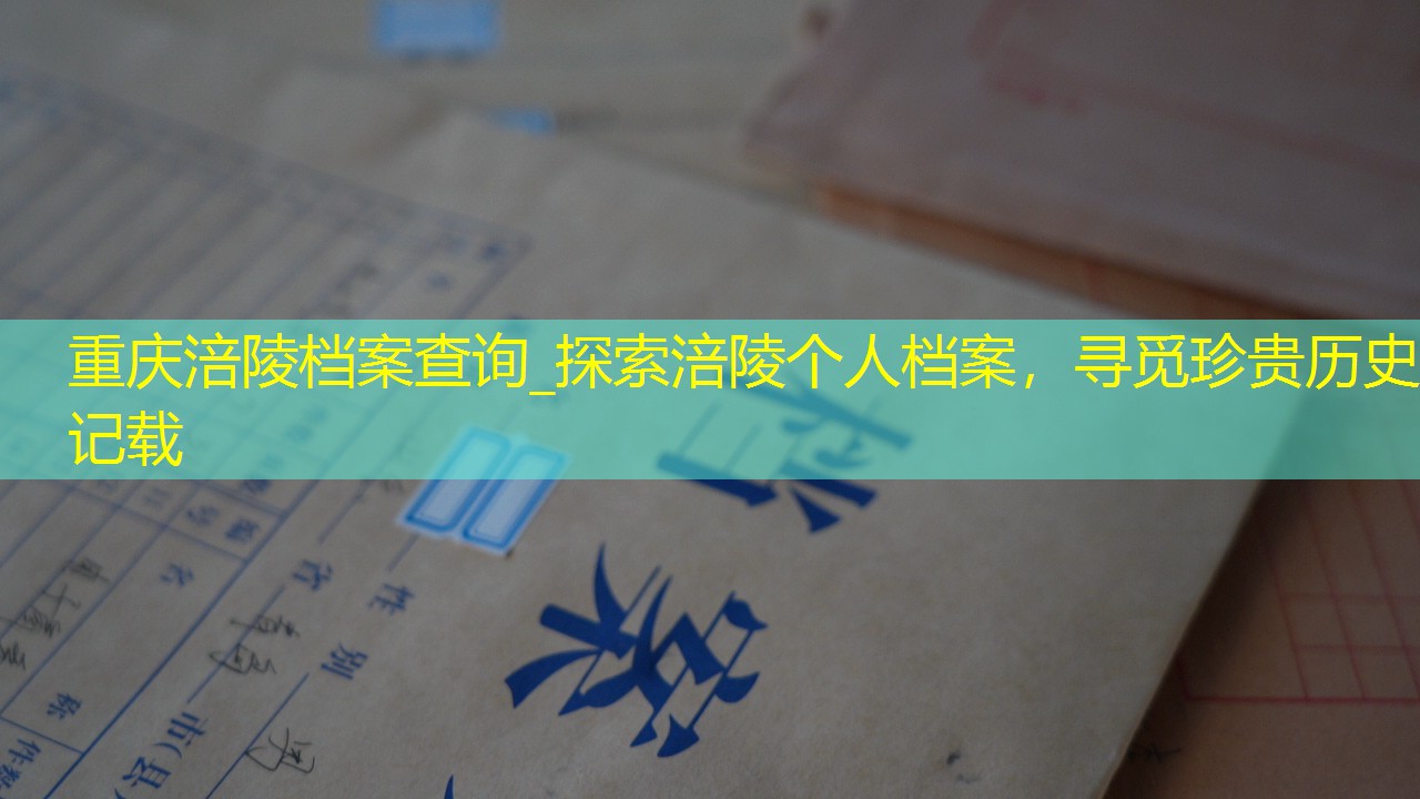 档案查询