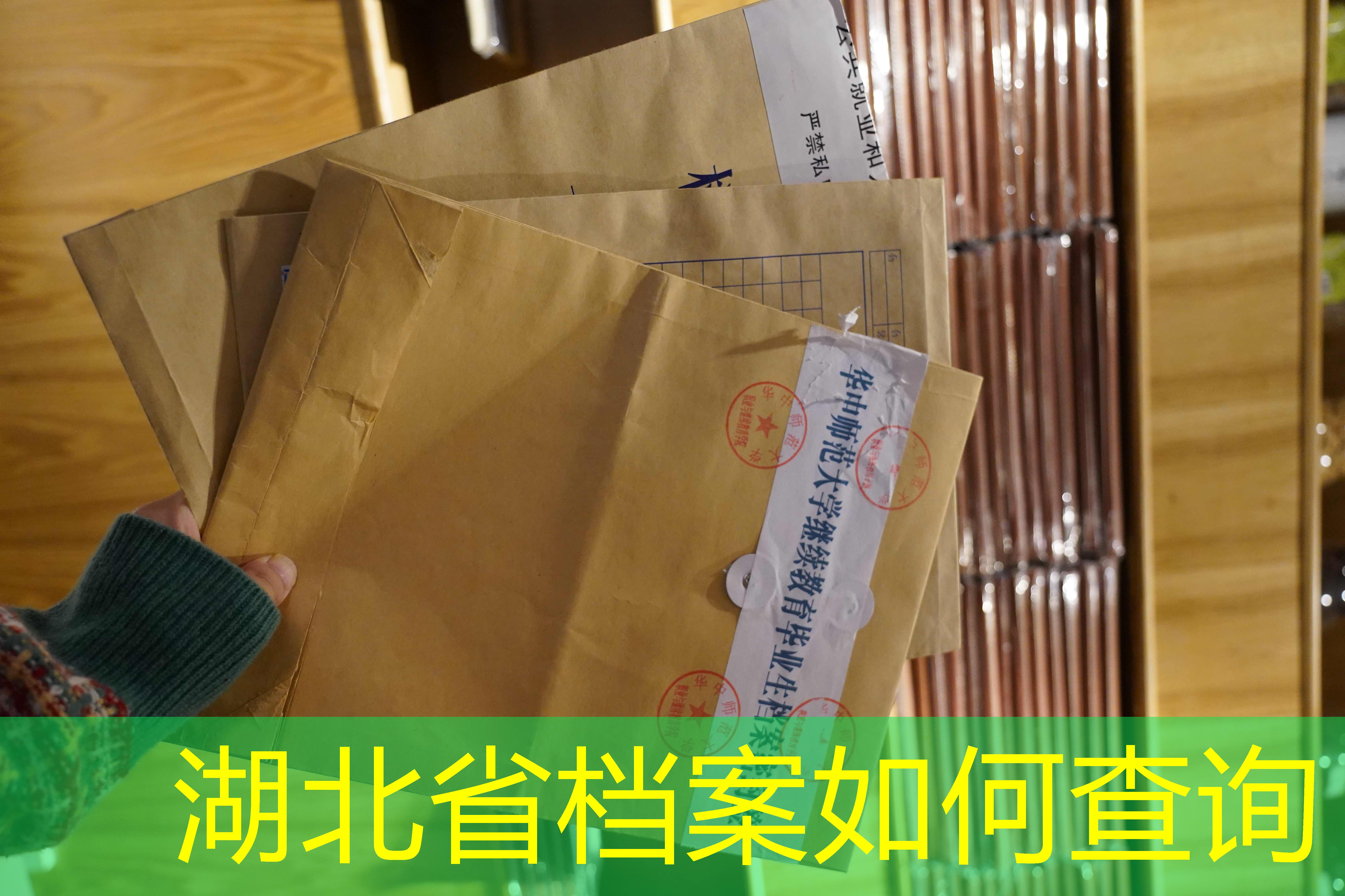 档案查询