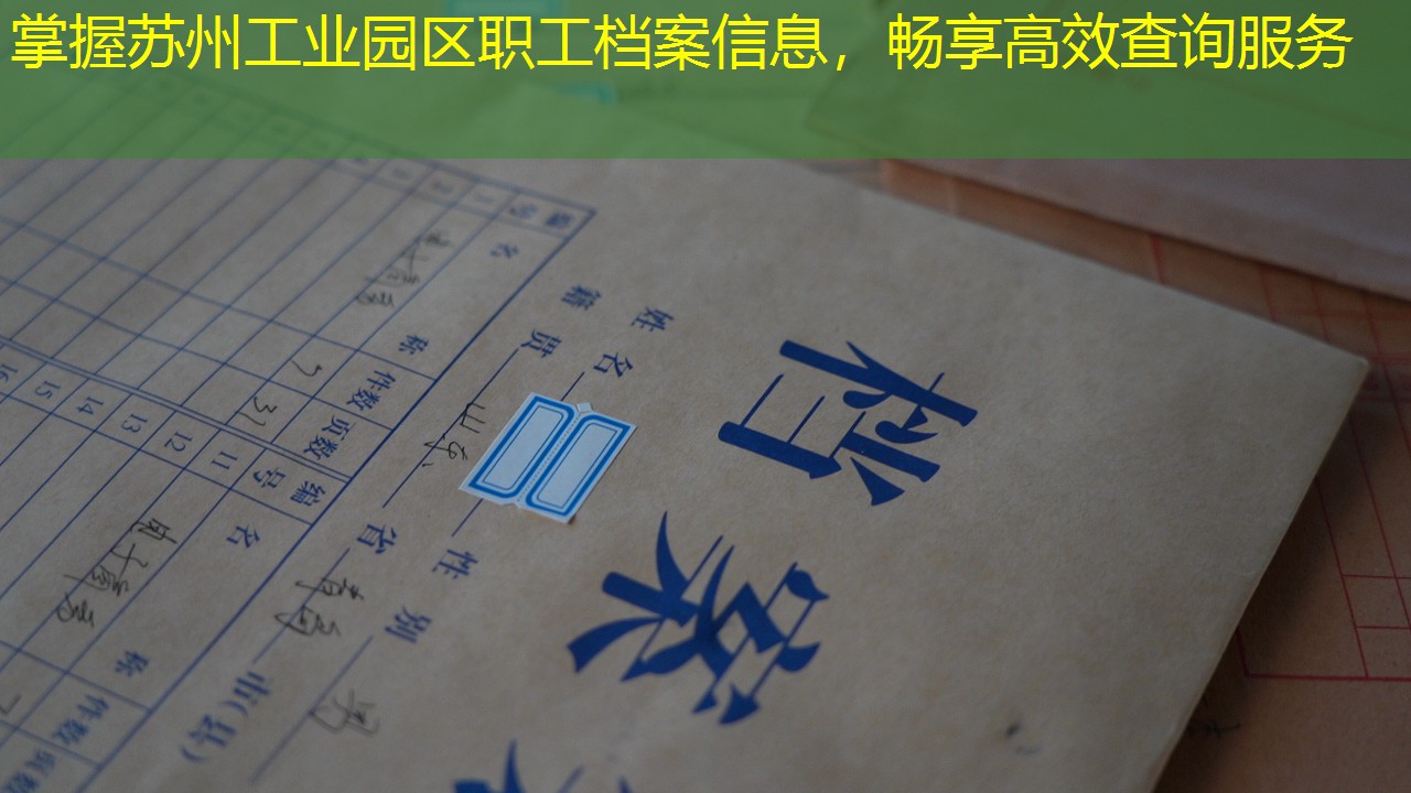 档案查询