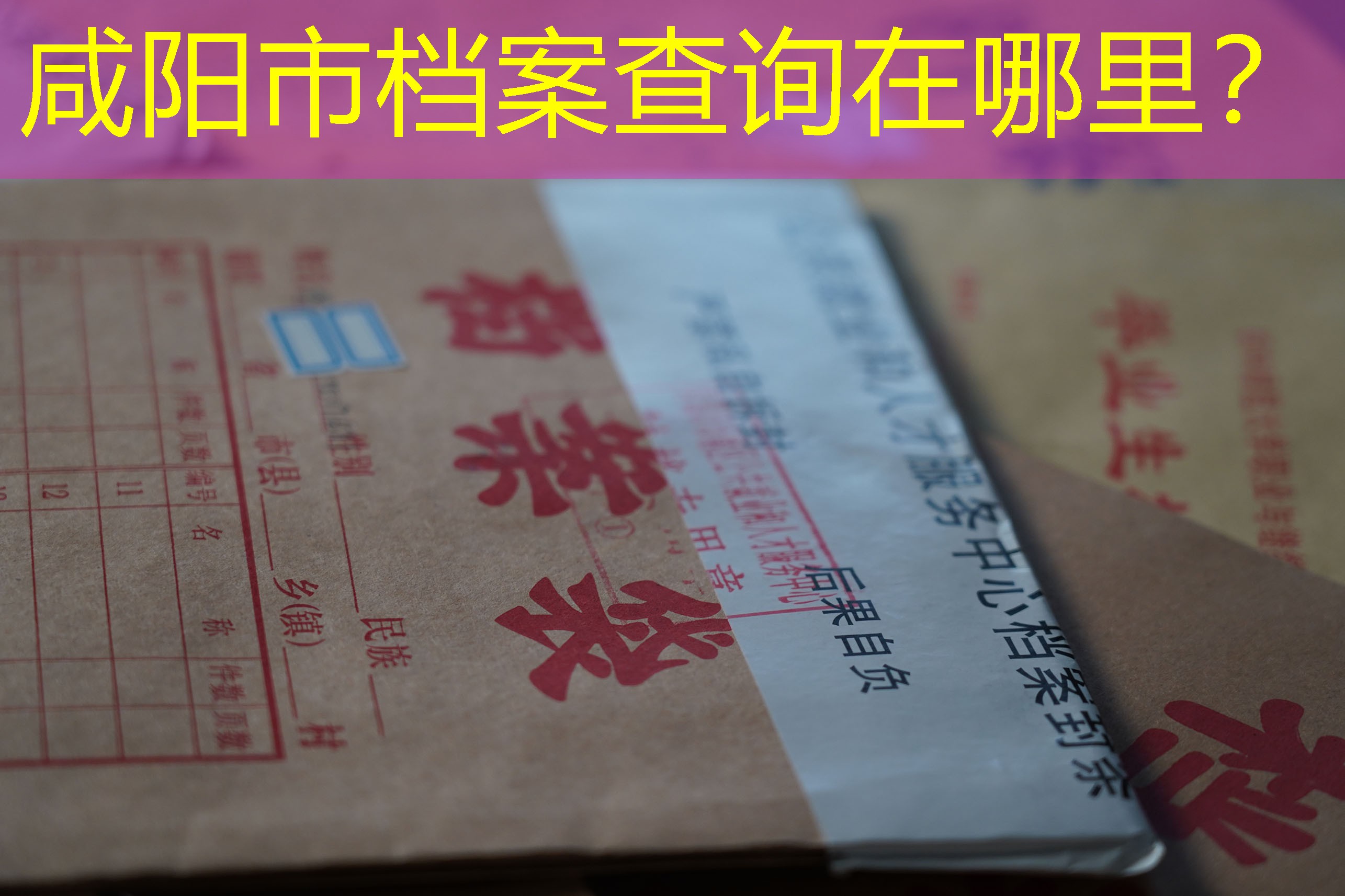 档案查询