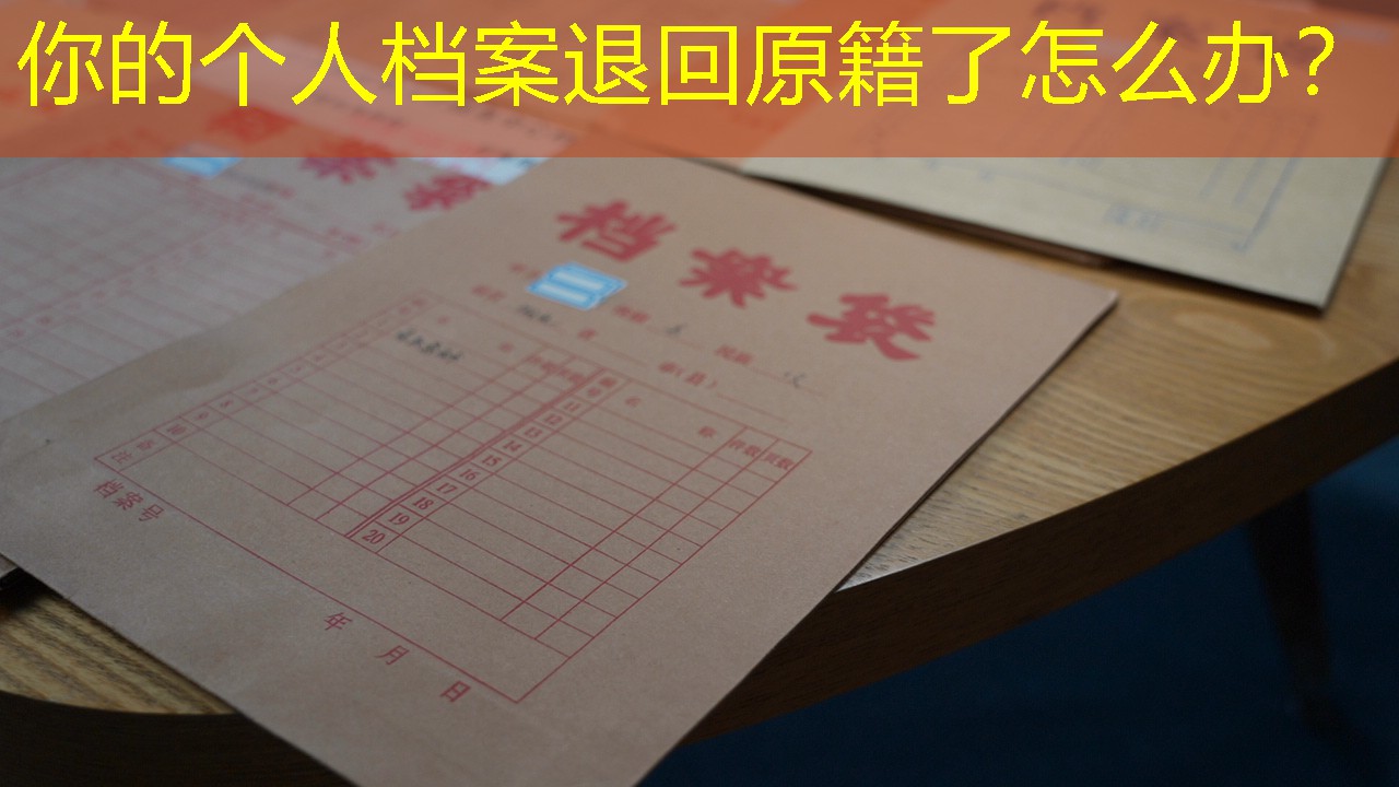 档案查询