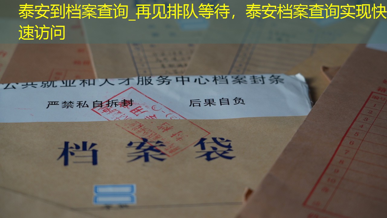档案查询