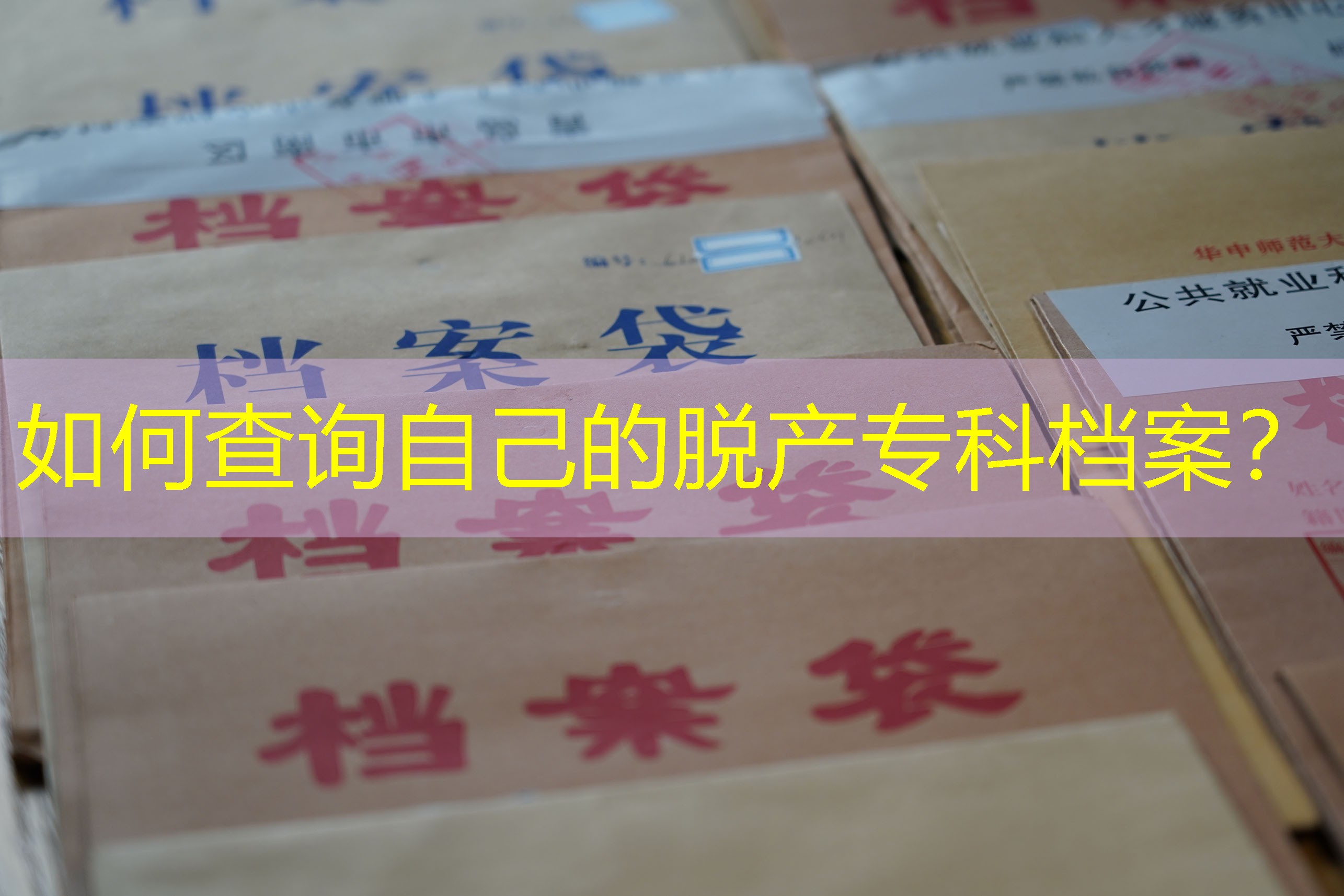 档案查询