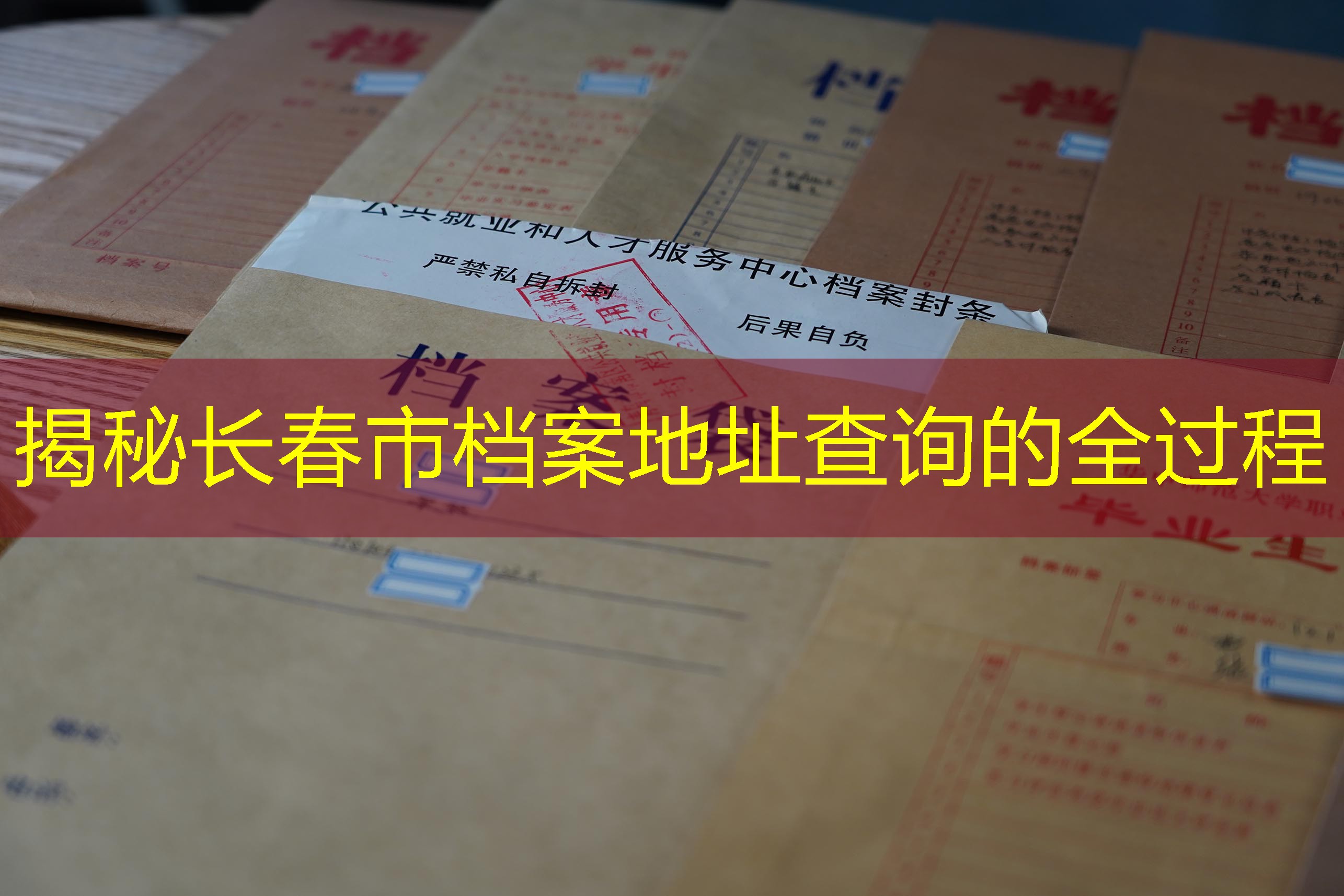 档案查询