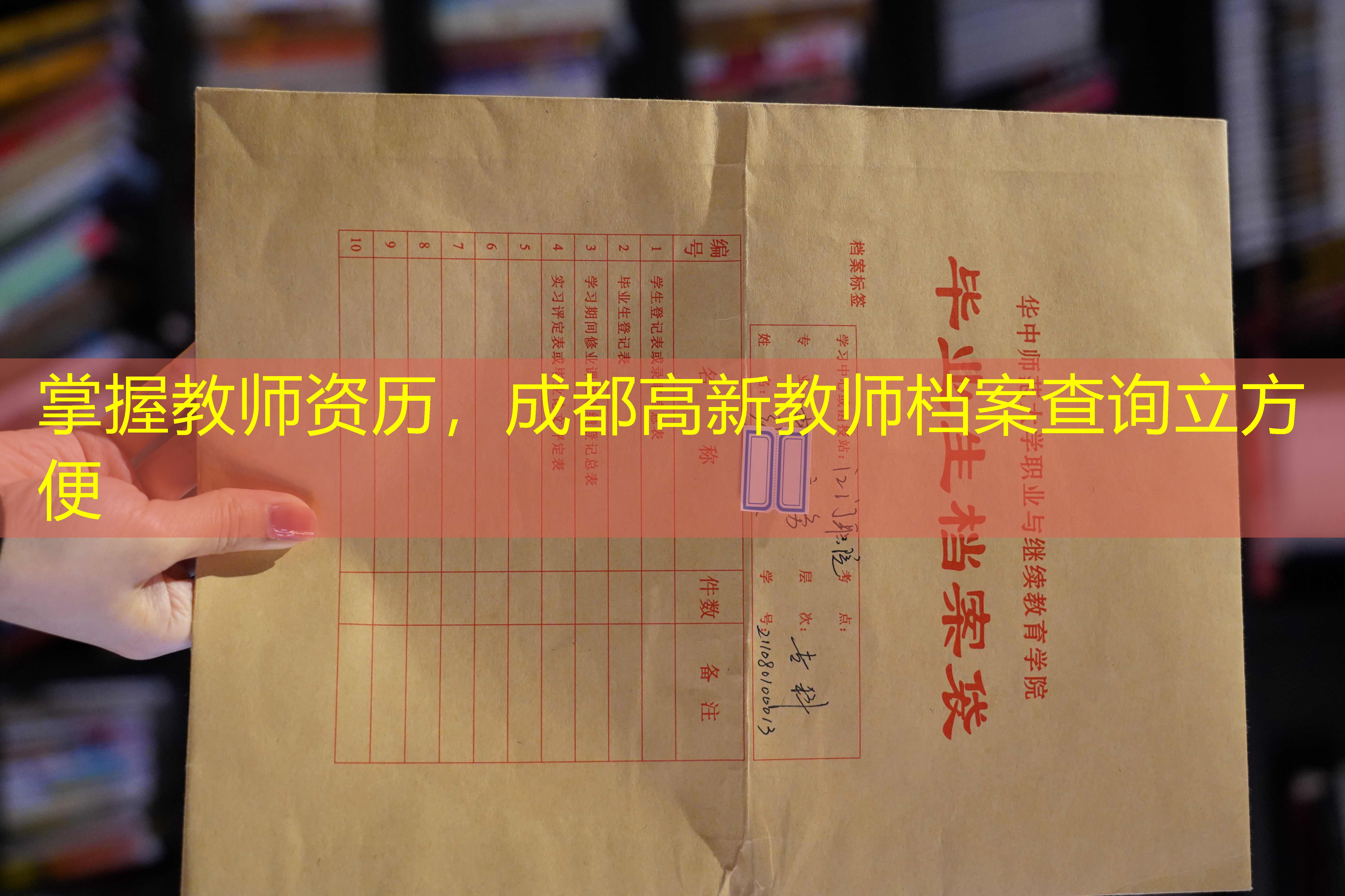 档案查询
