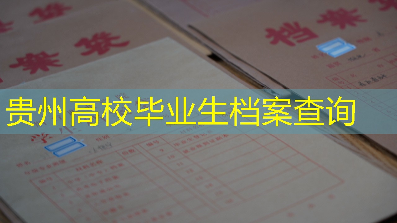 档案查询