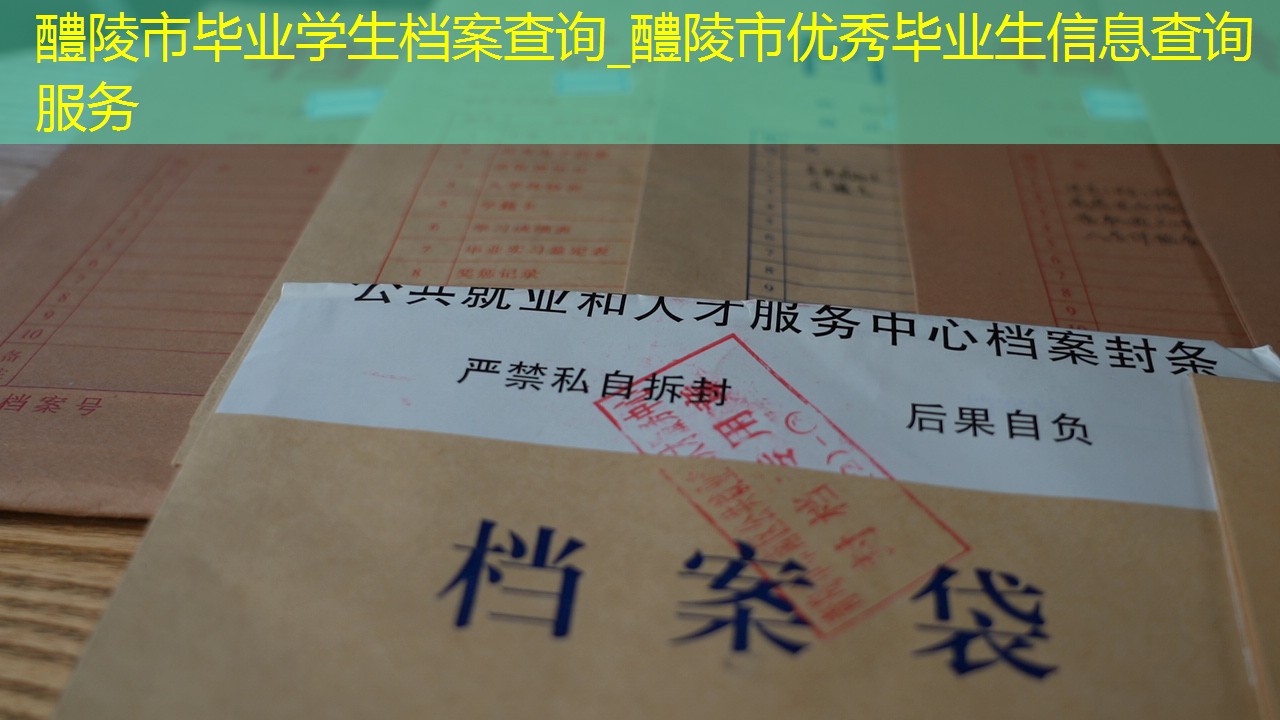 档案查询