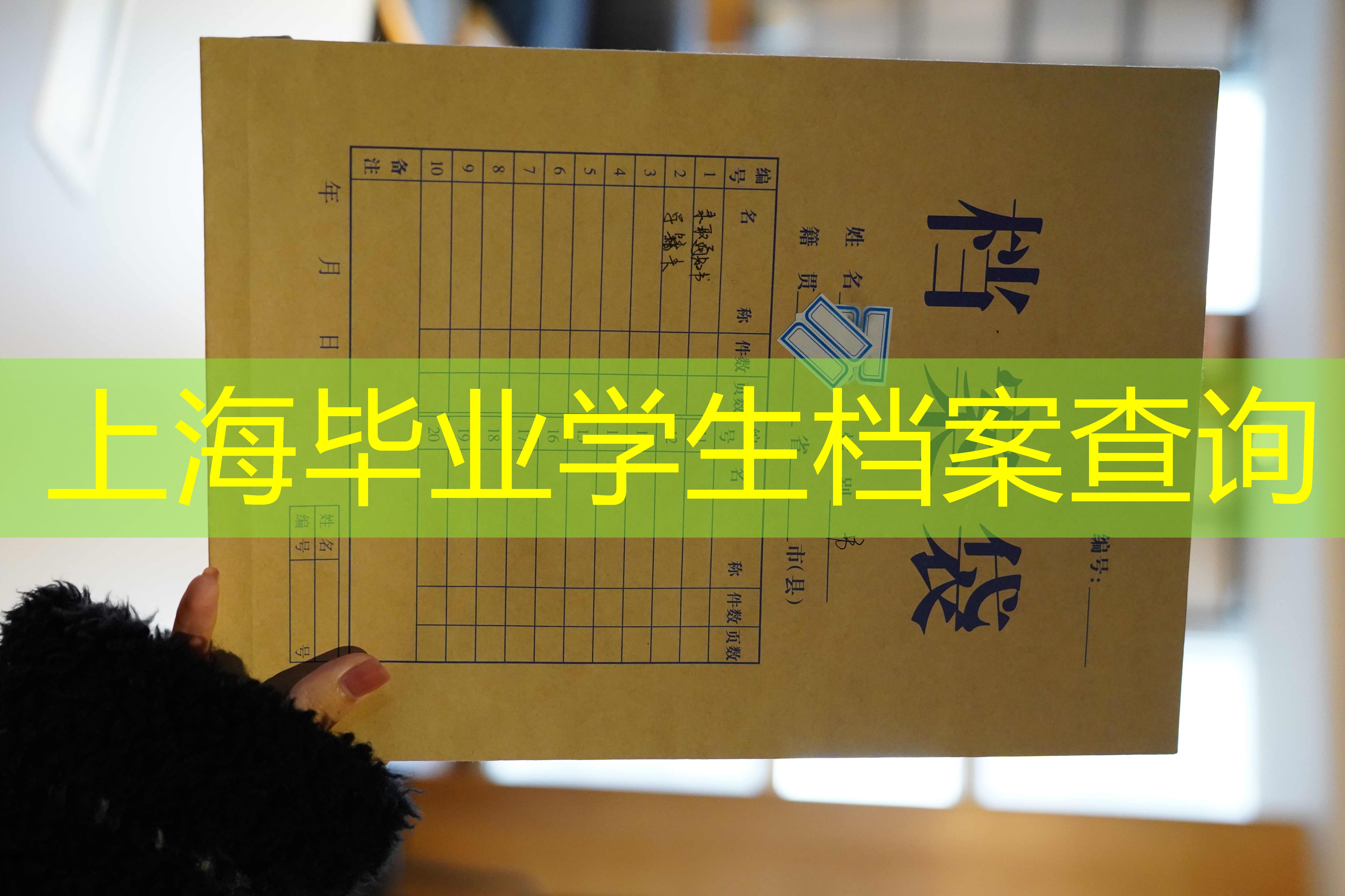 档案查询