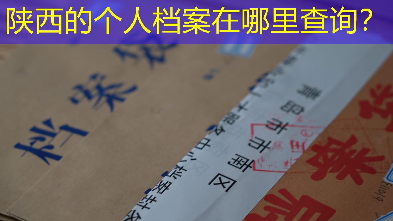 档案查询