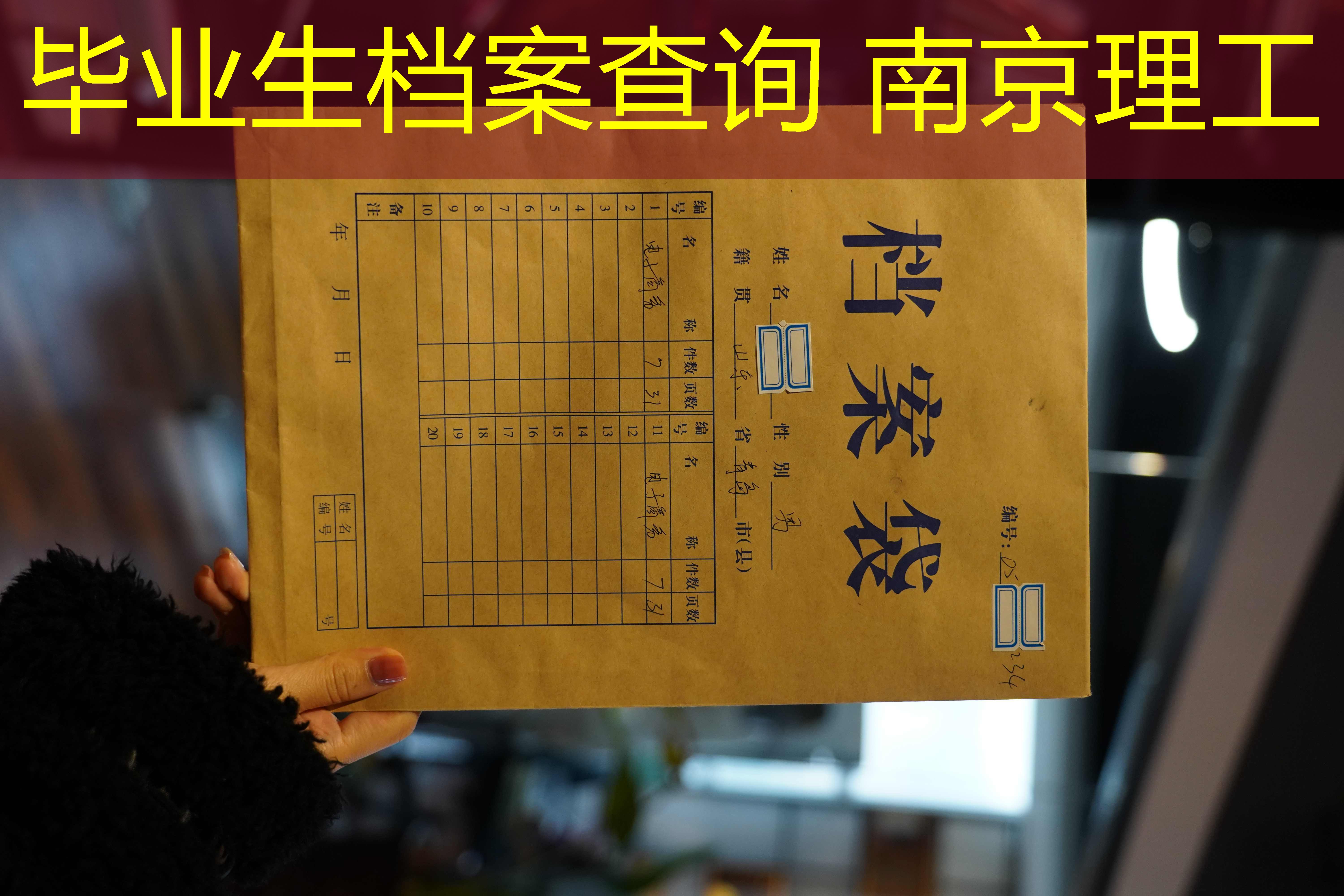 档案查询