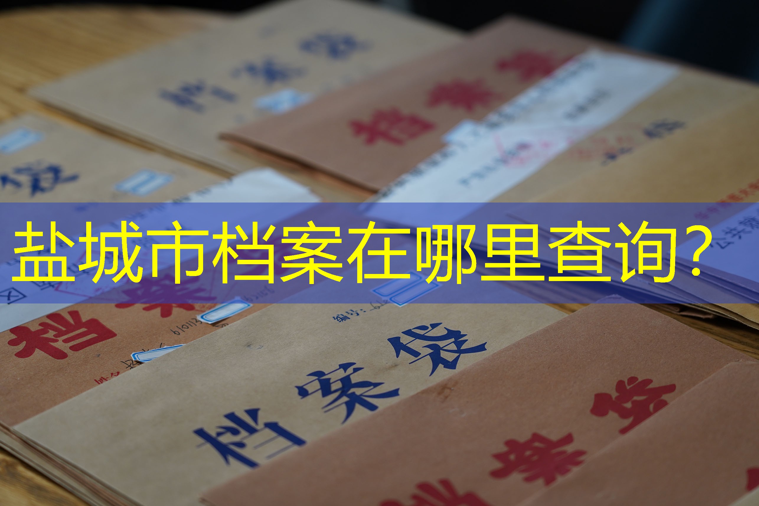 档案查询