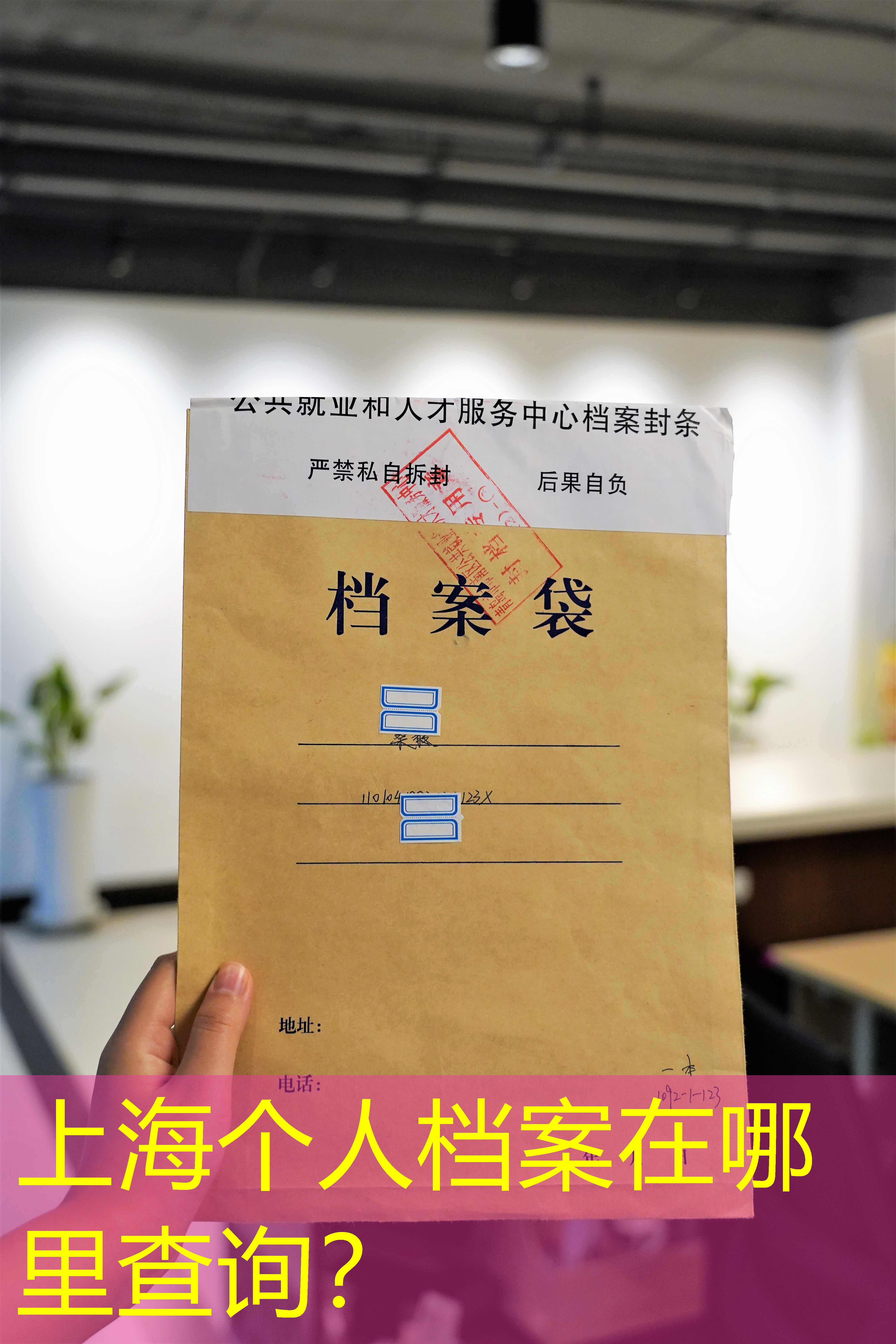 档案查询
