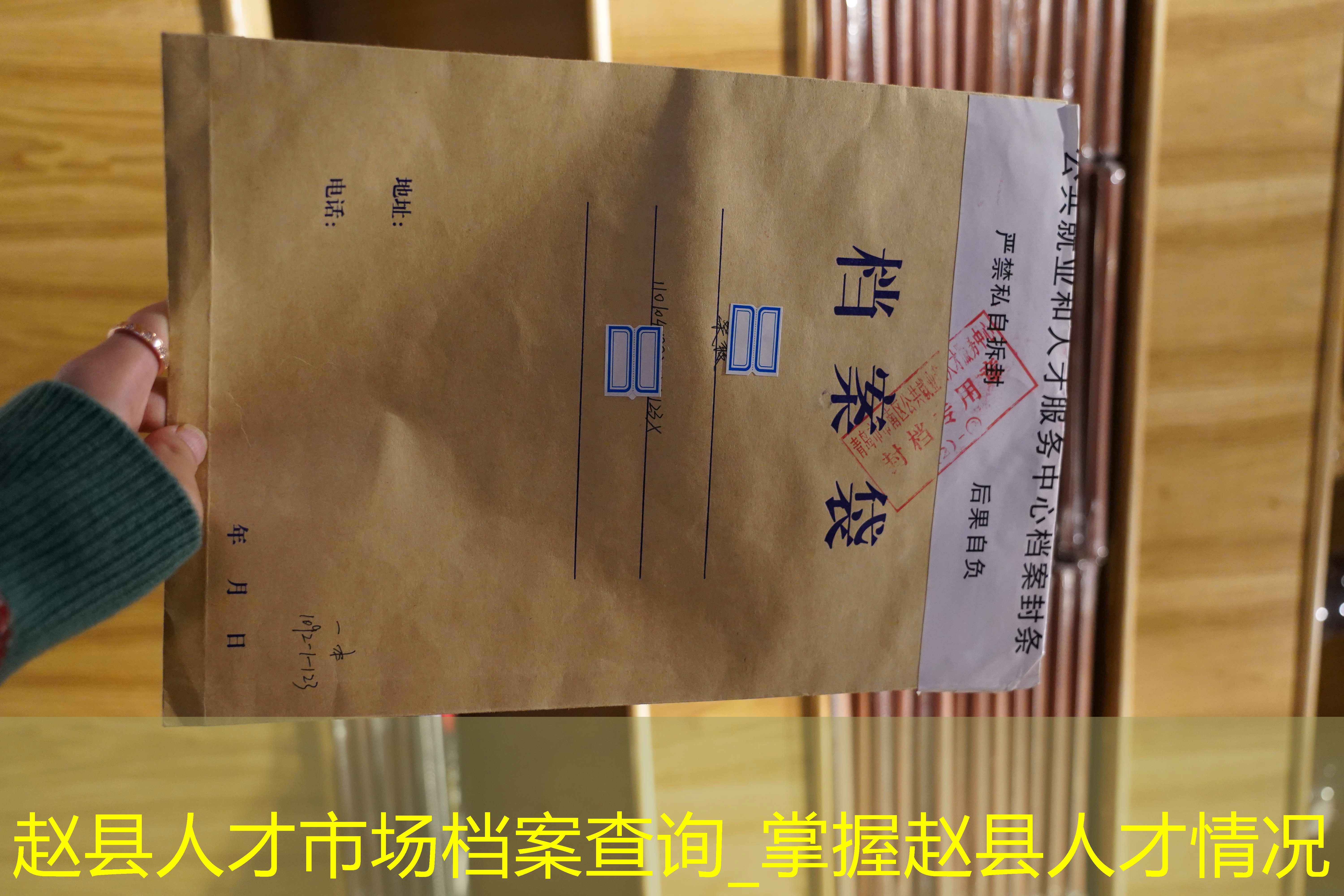 档案查询