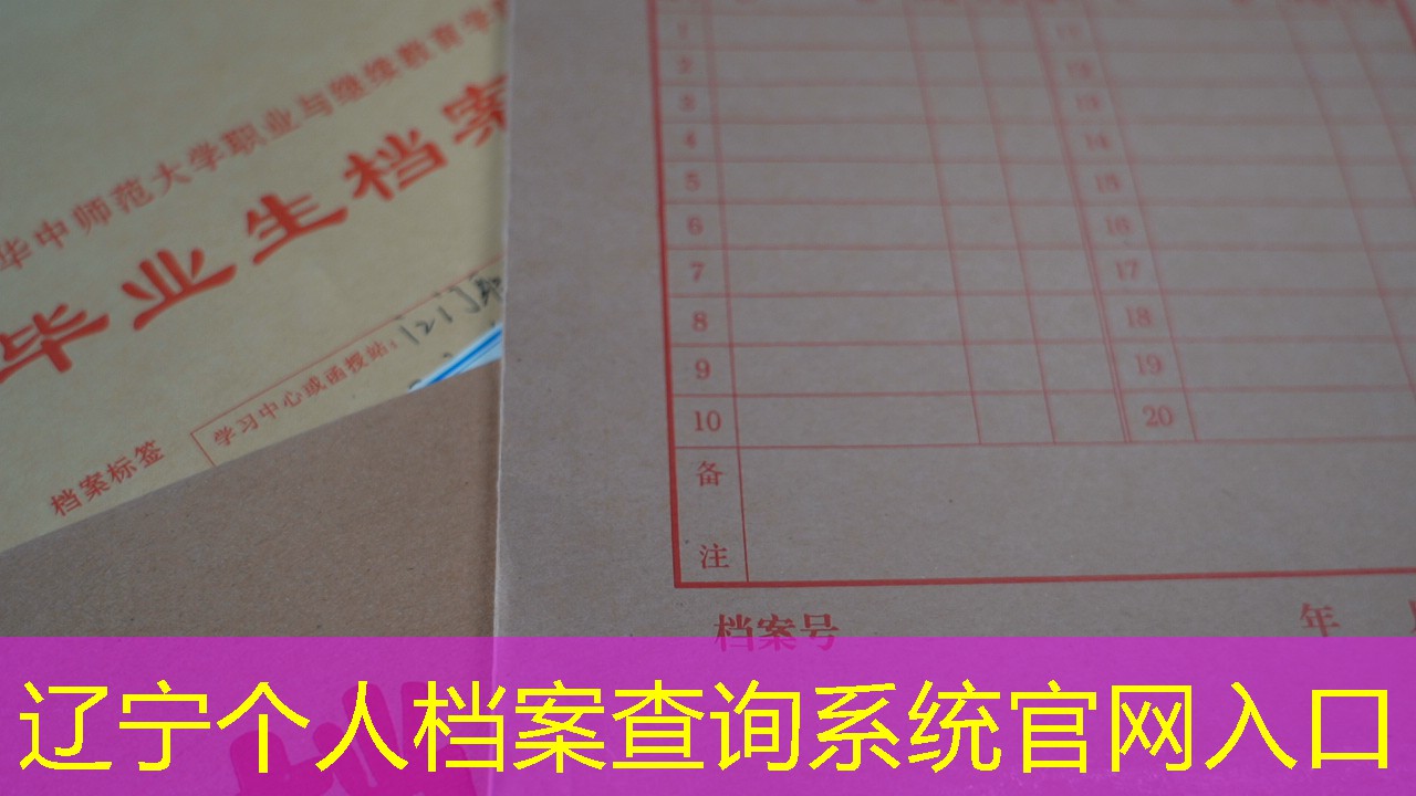 档案查询