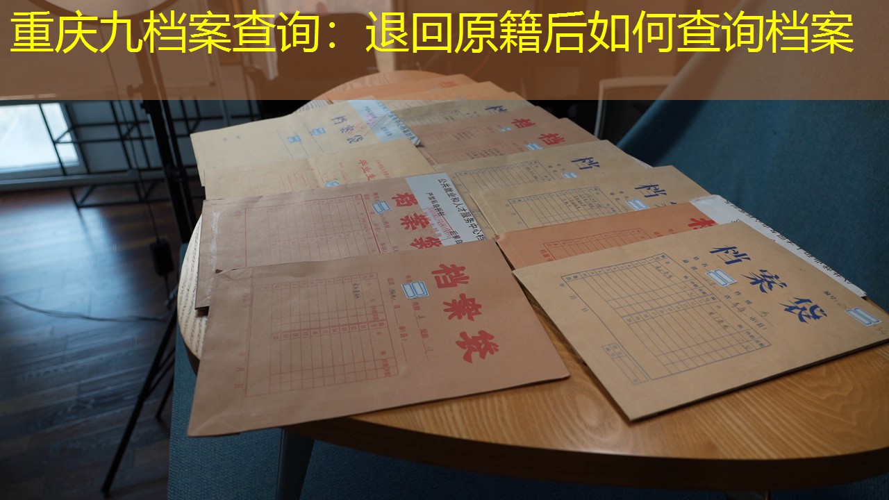 档案查询