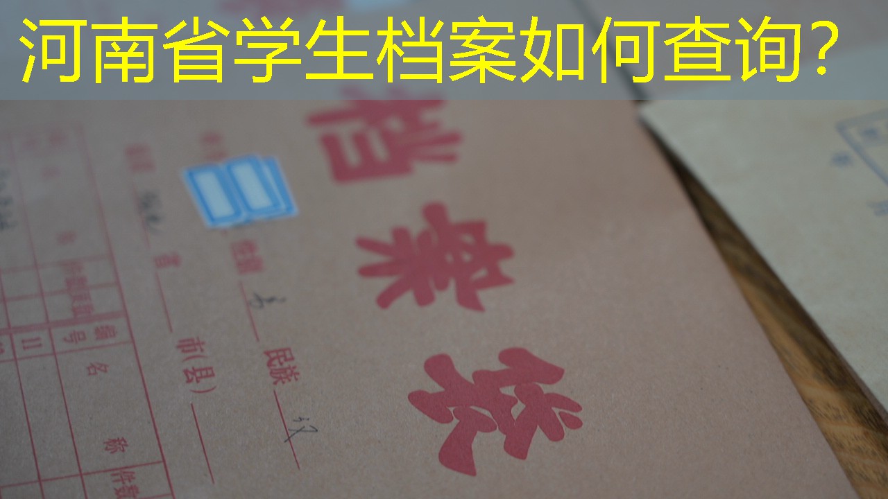 档案查询