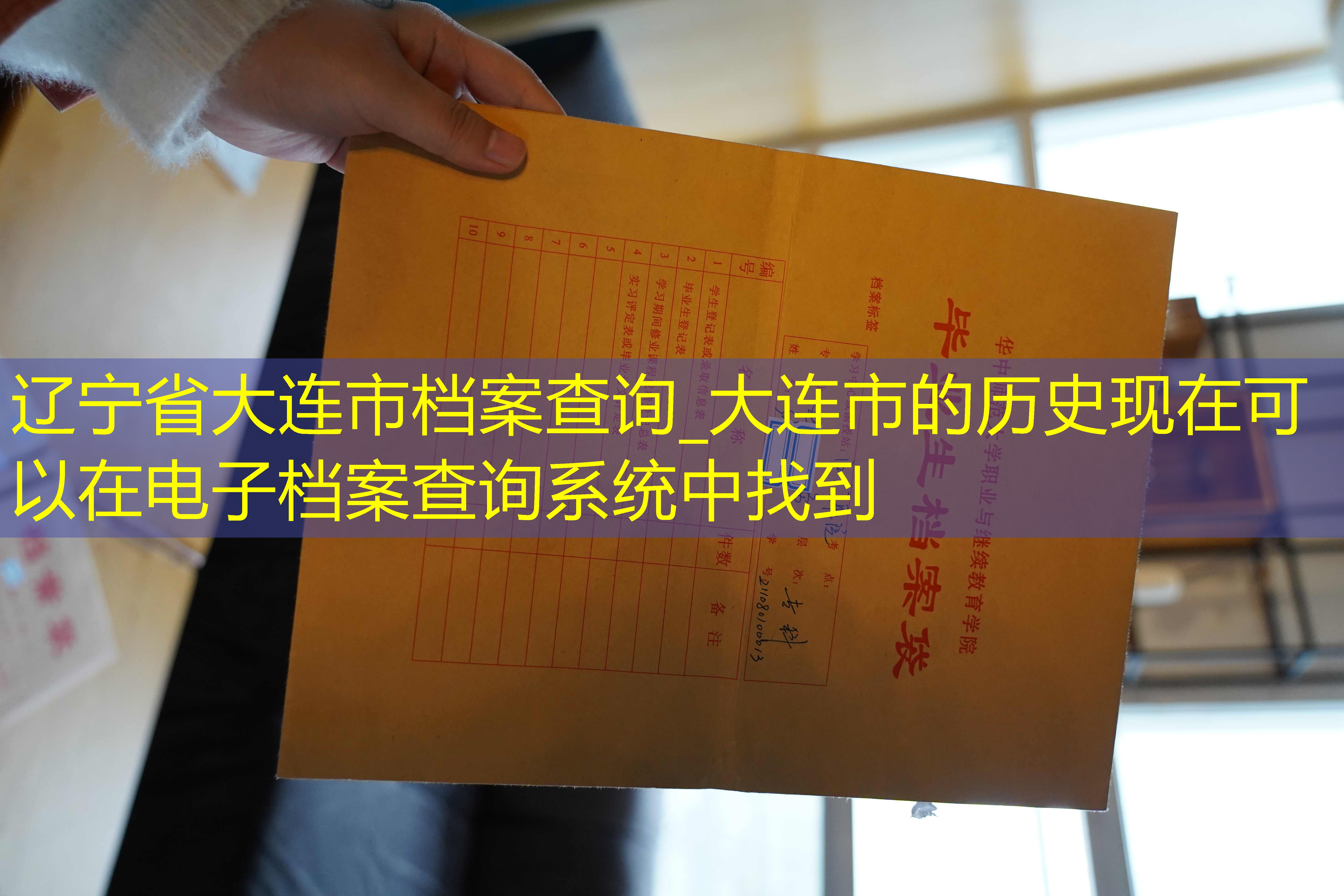 档案查询
