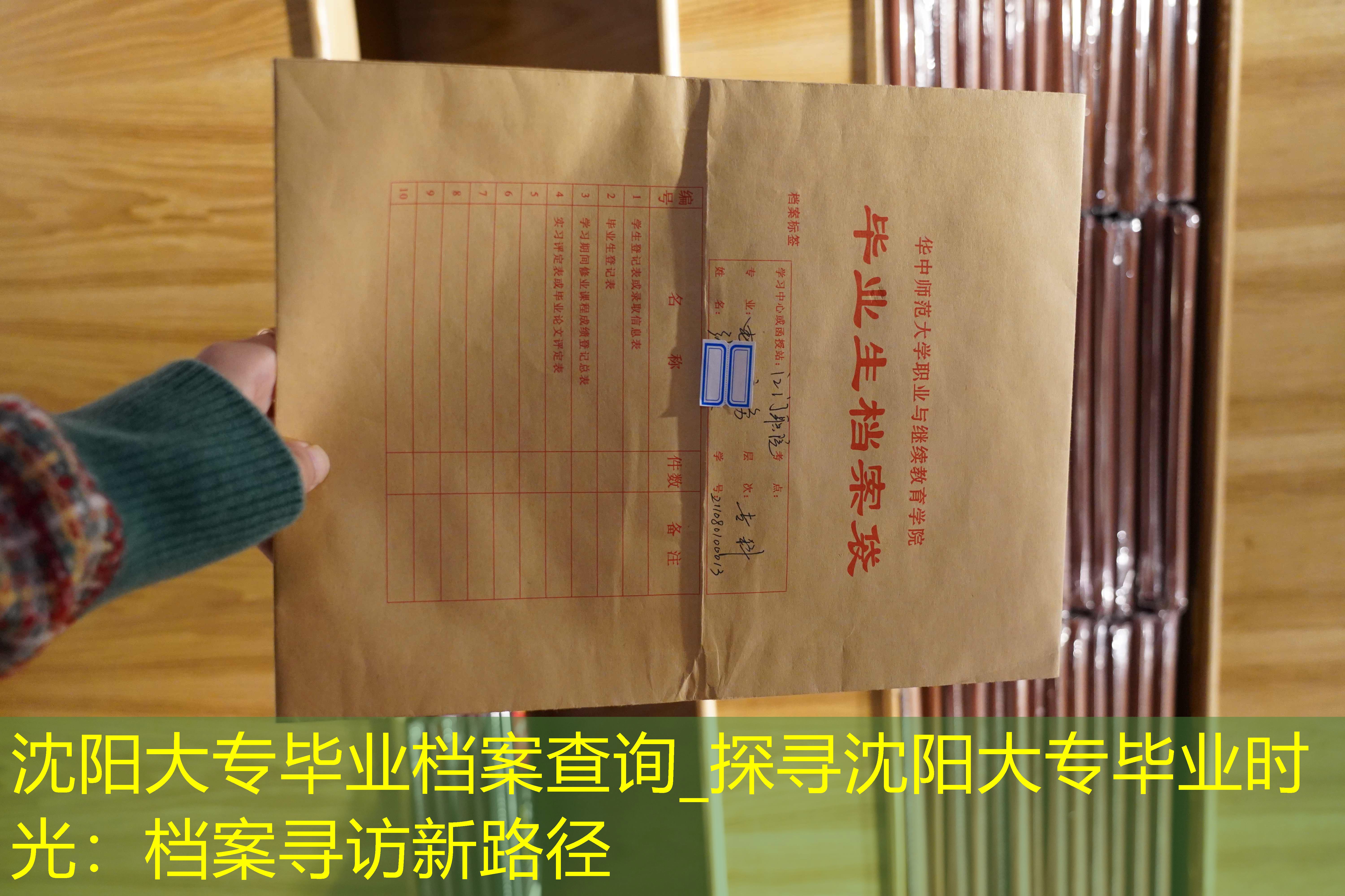 档案查询