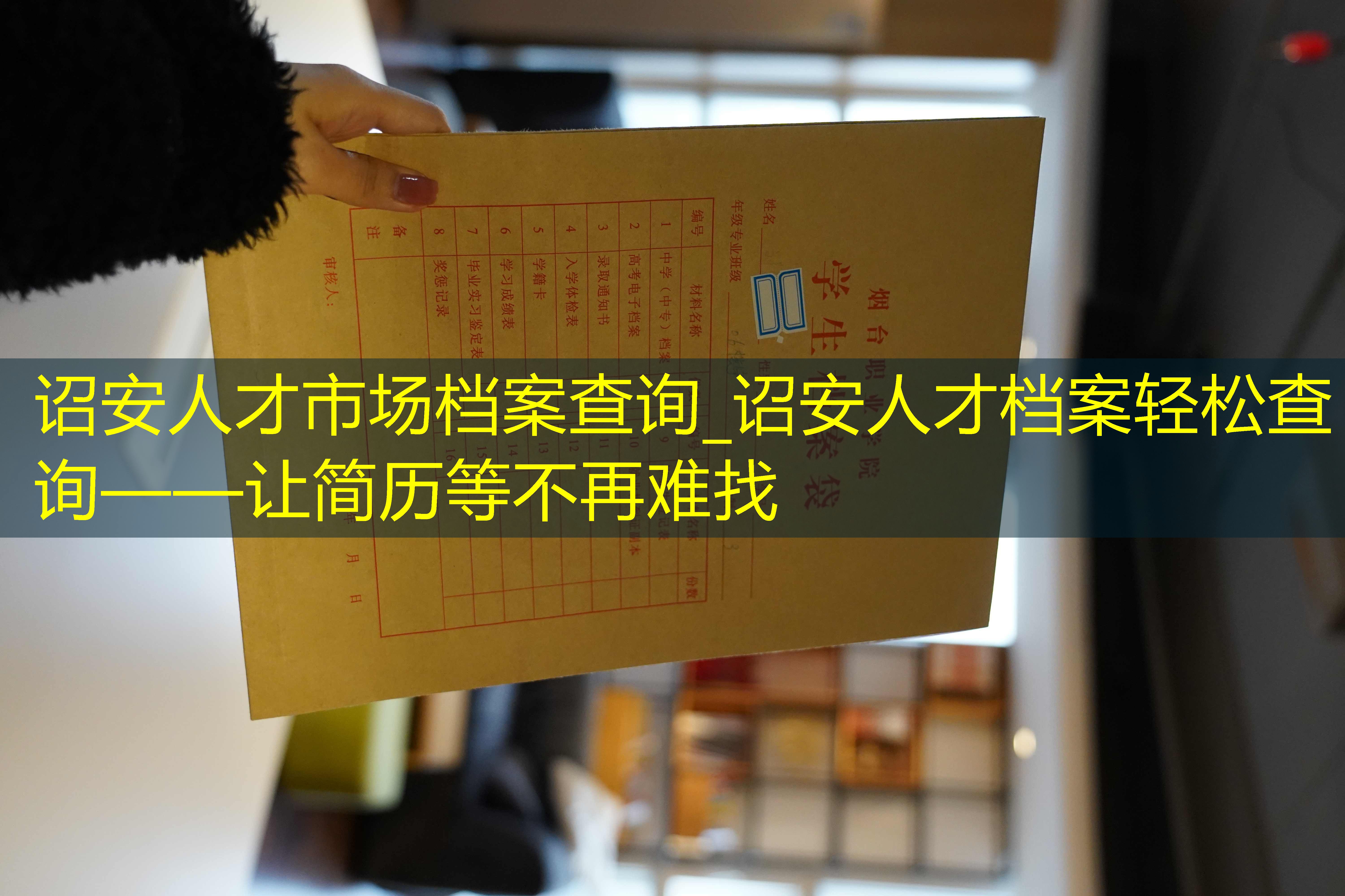 档案查询