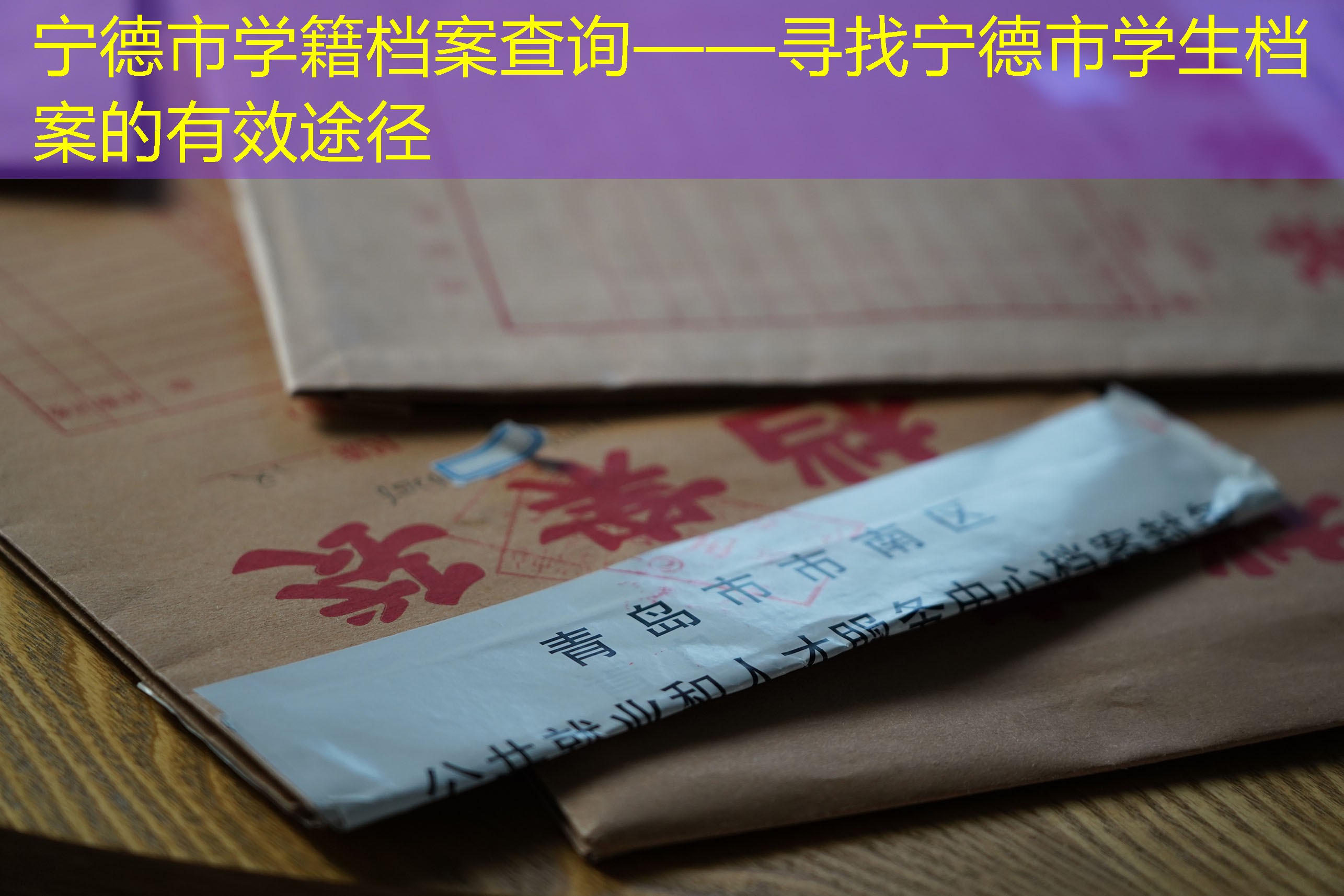 档案查询