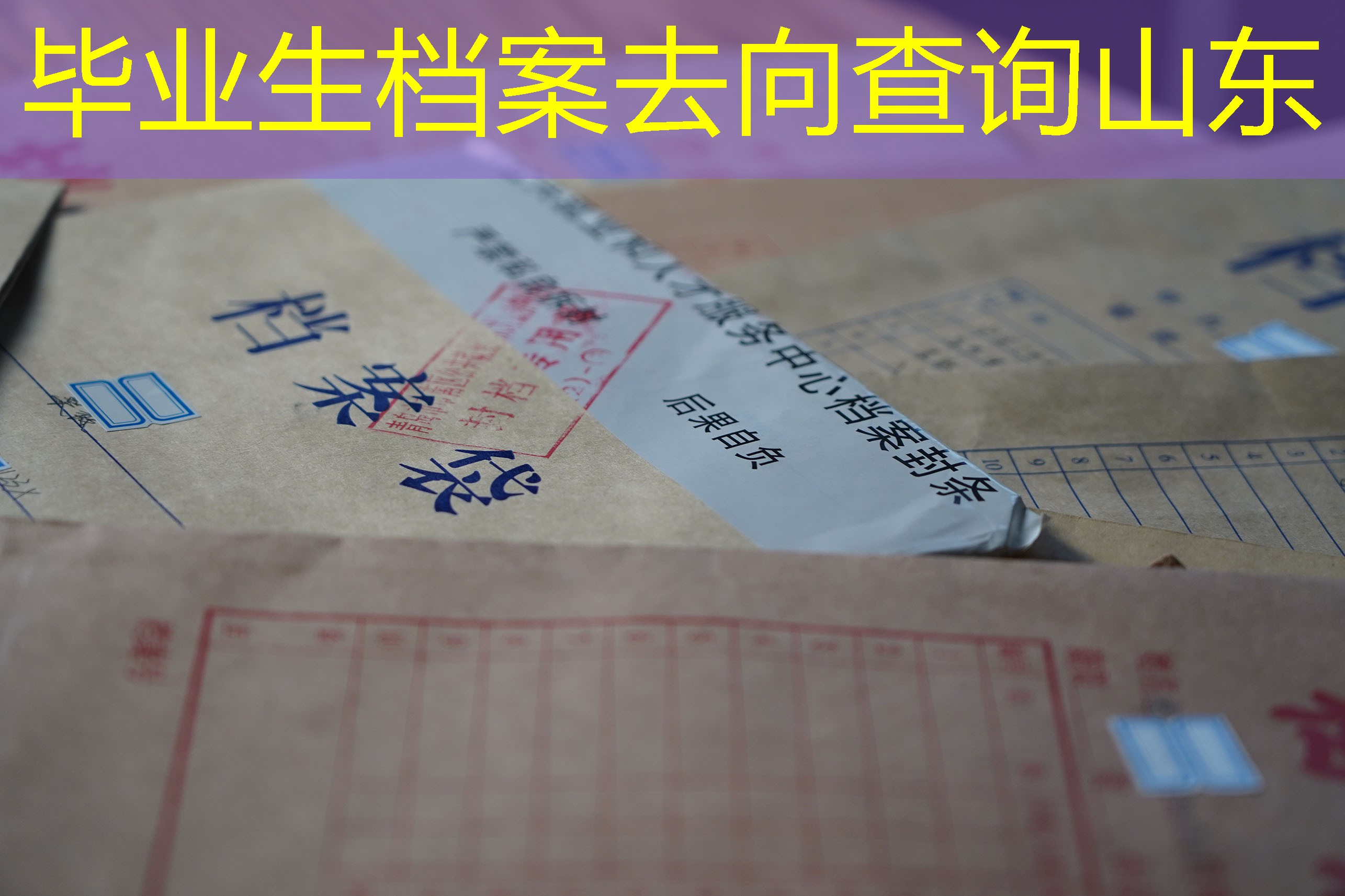档案查询