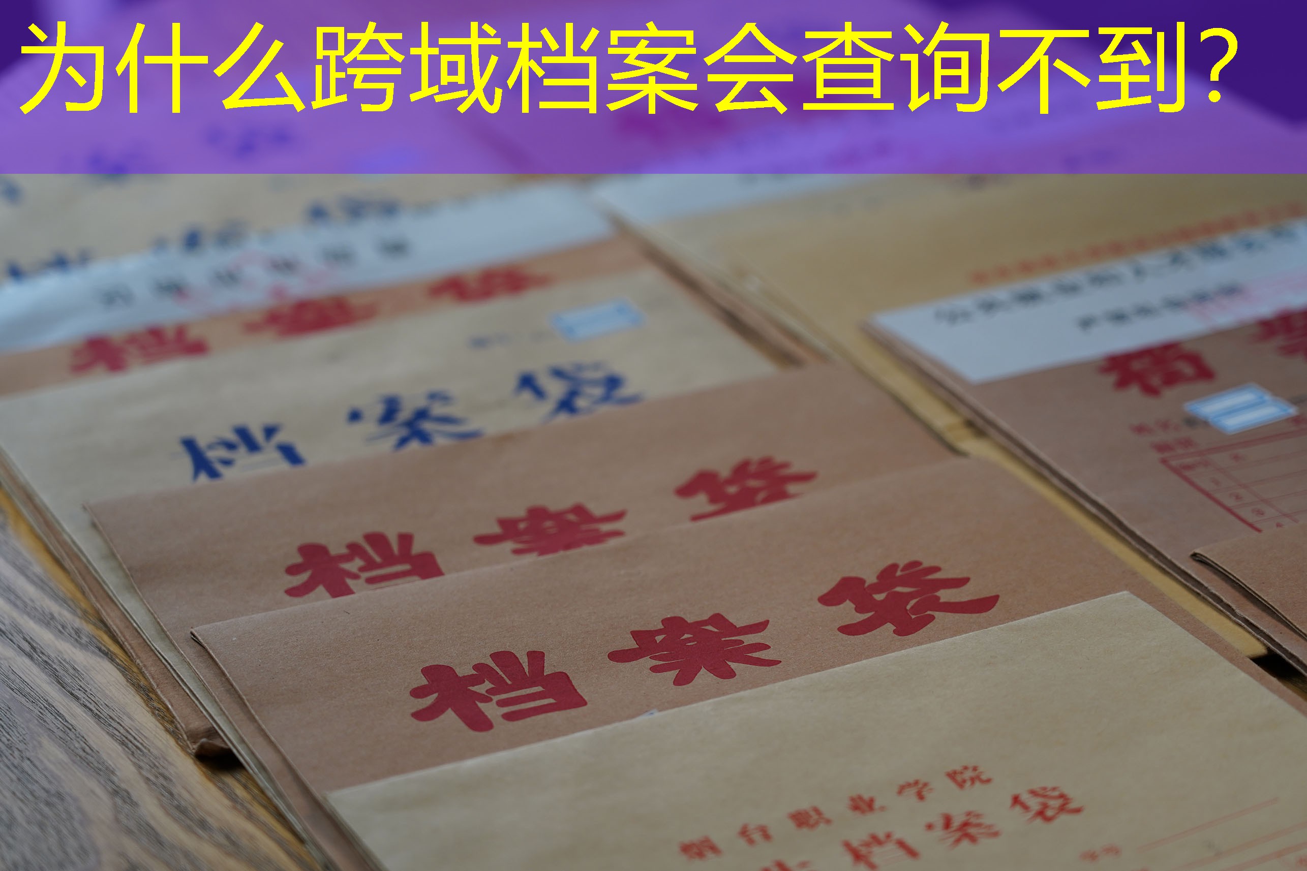 档案查询