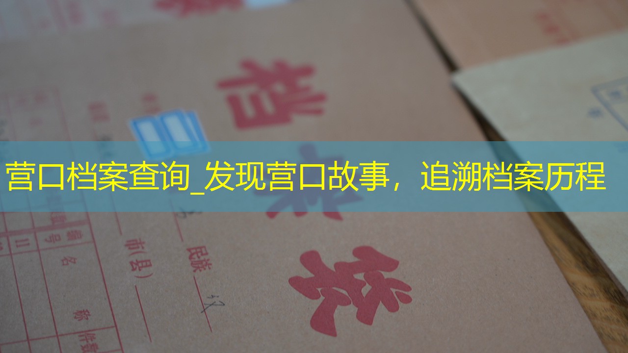 档案查询