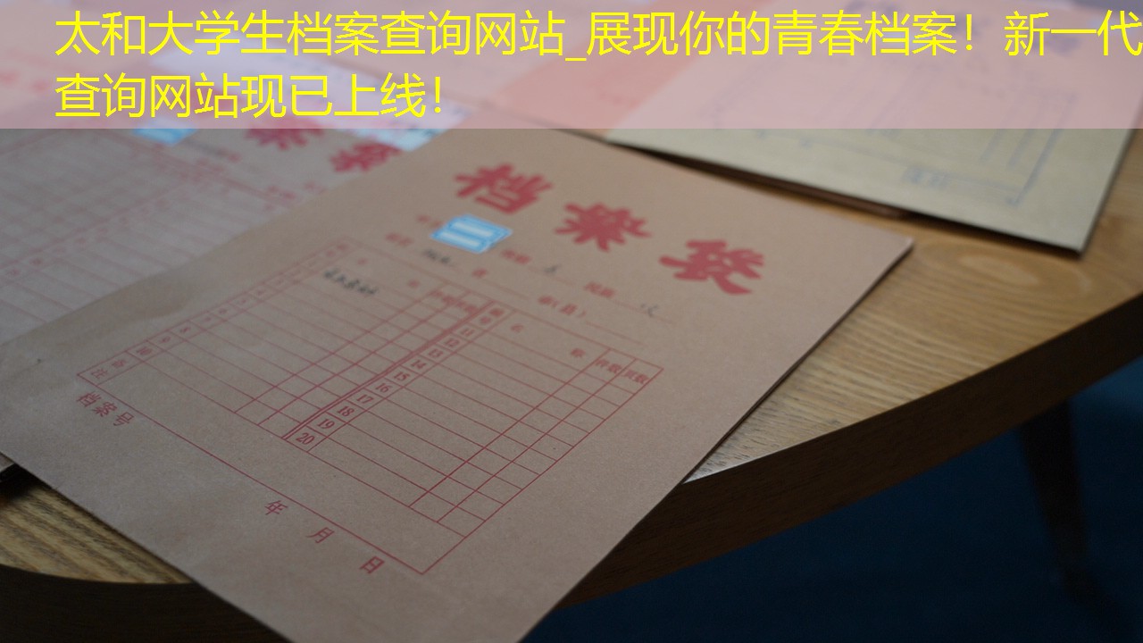 档案查询