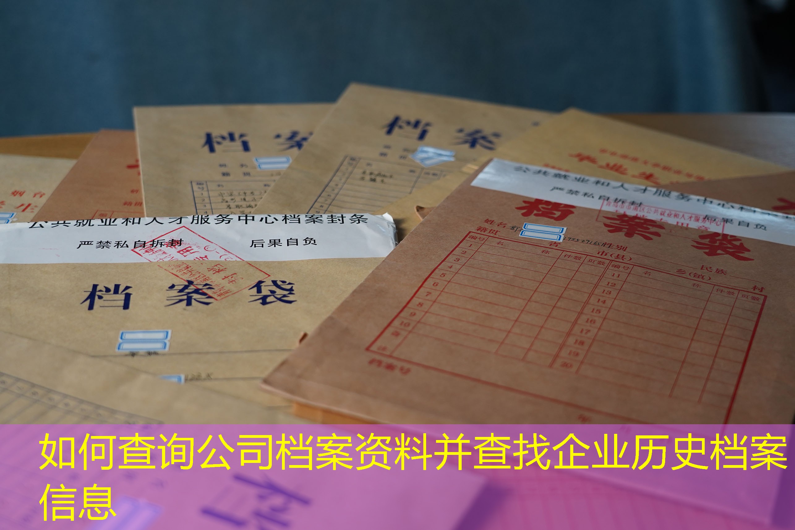 档案查询