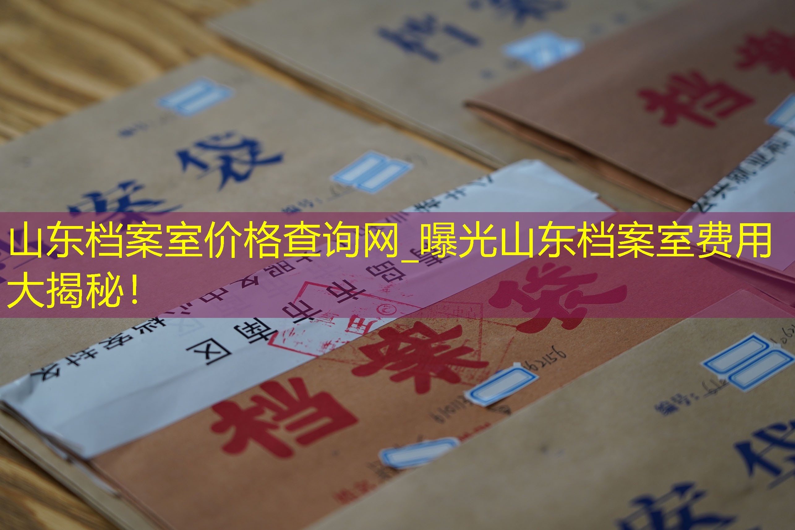 档案查询