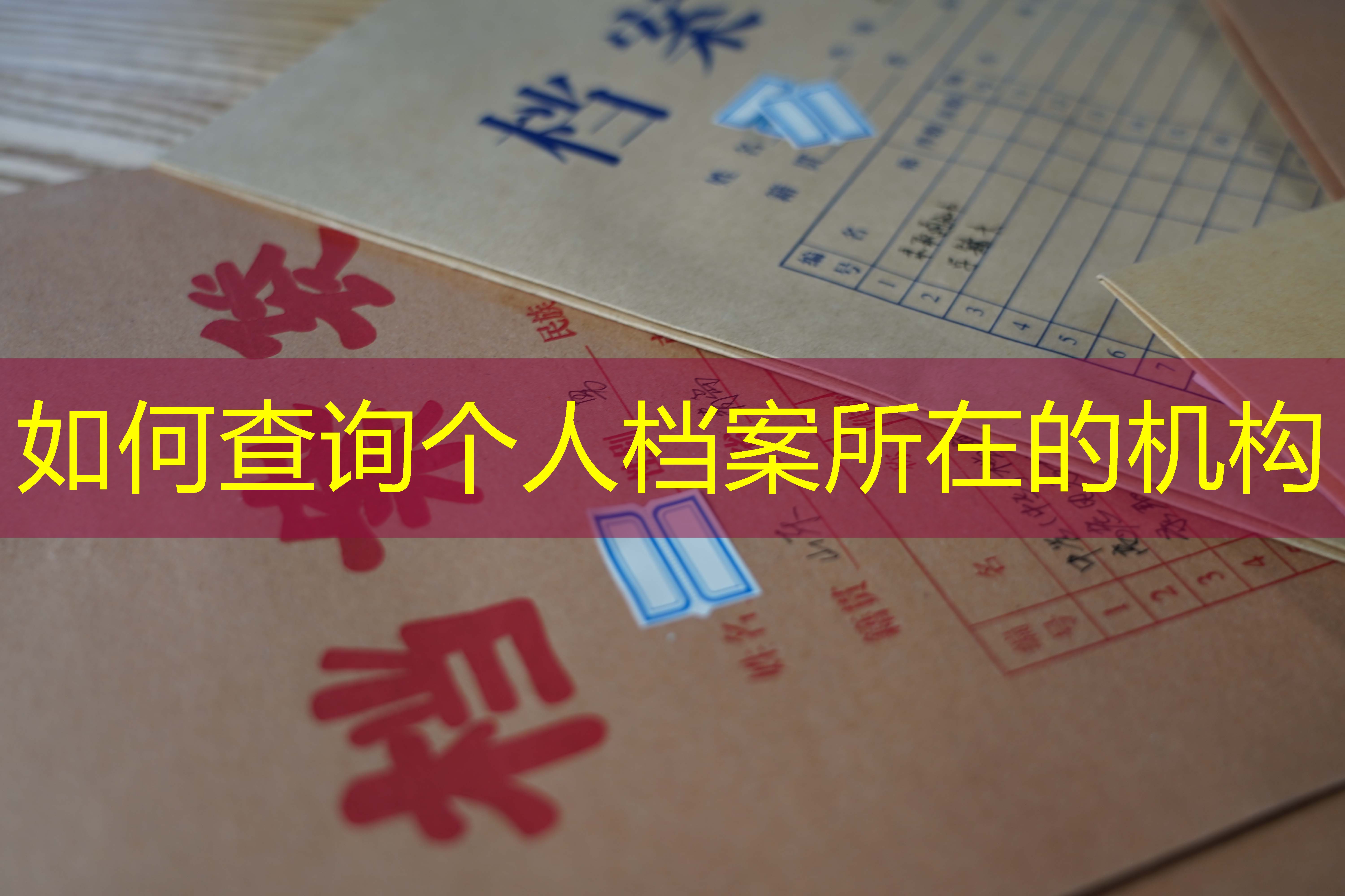 档案查询
