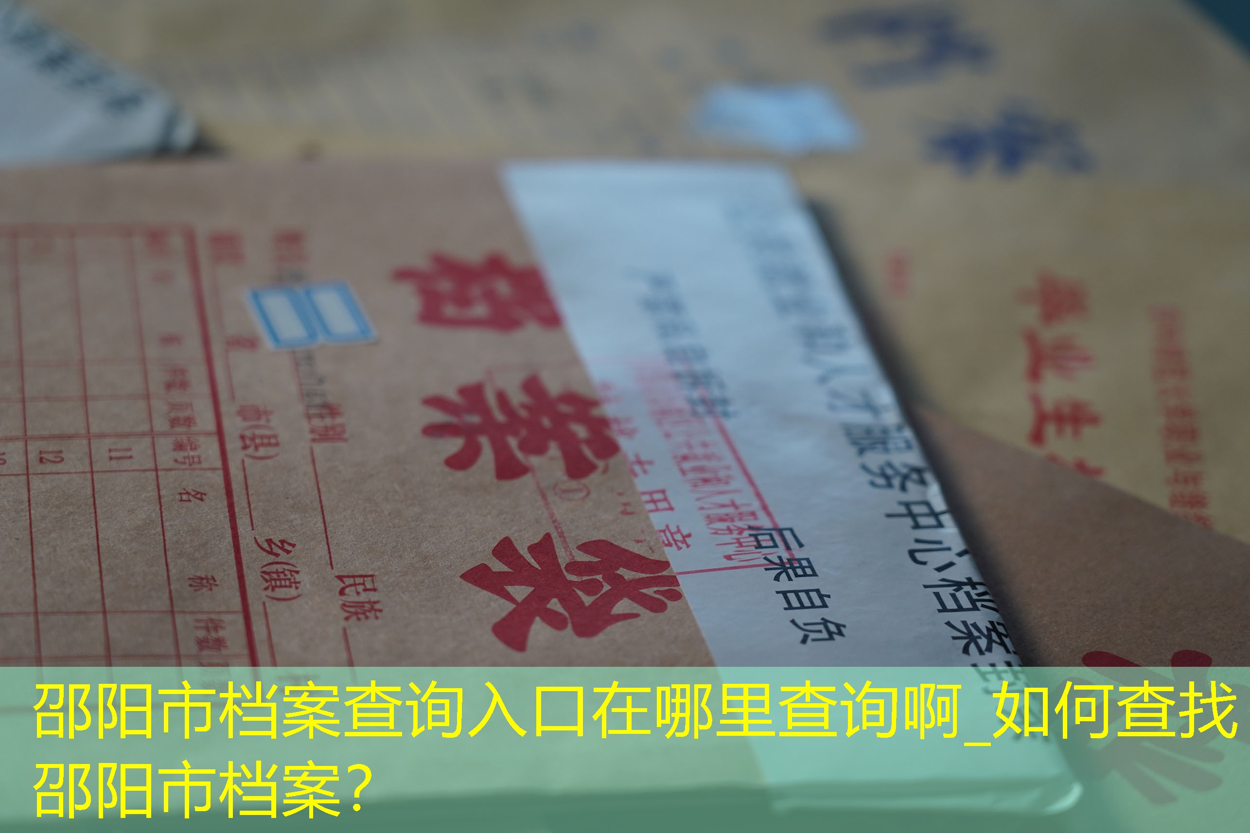 档案查询