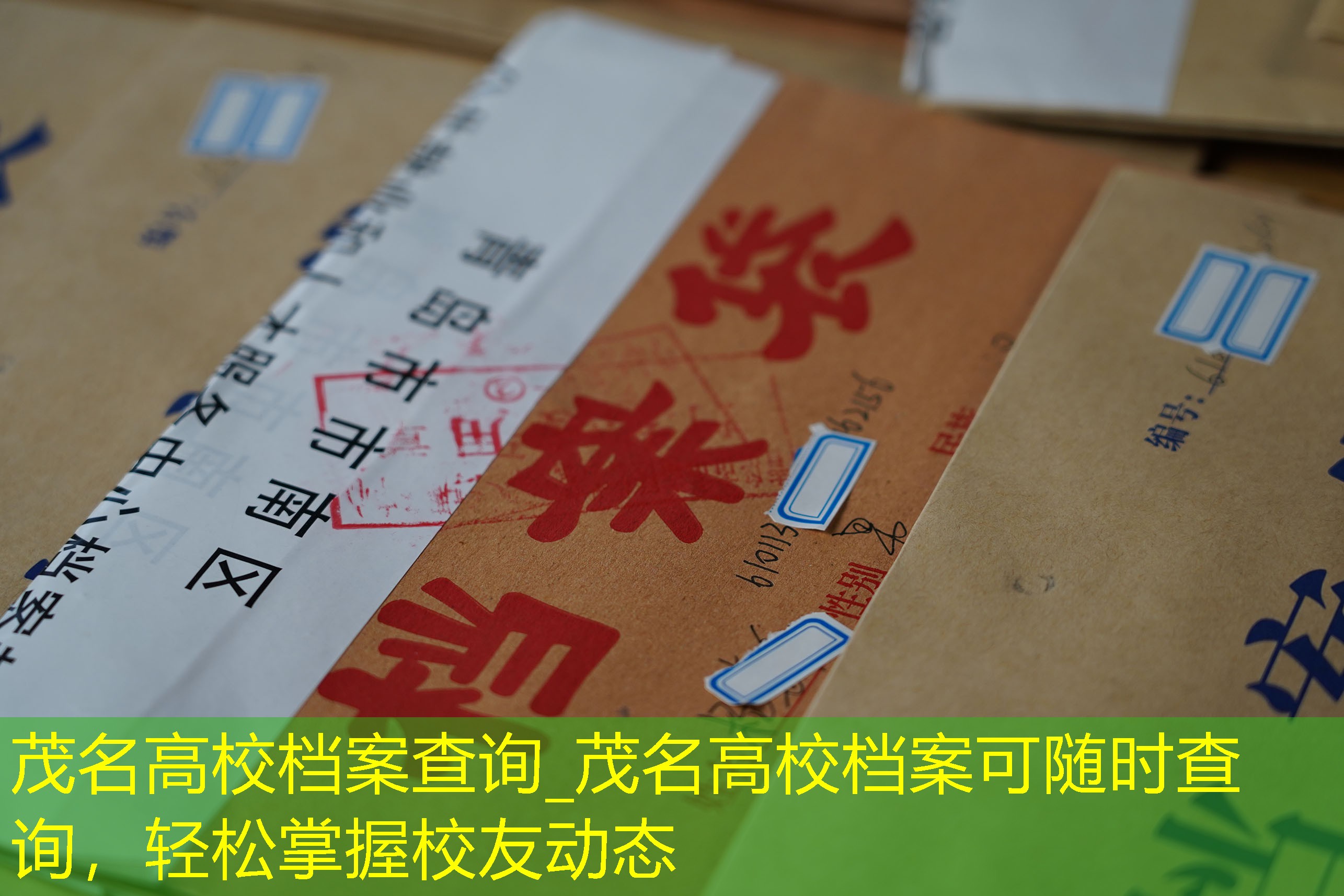 档案查询
